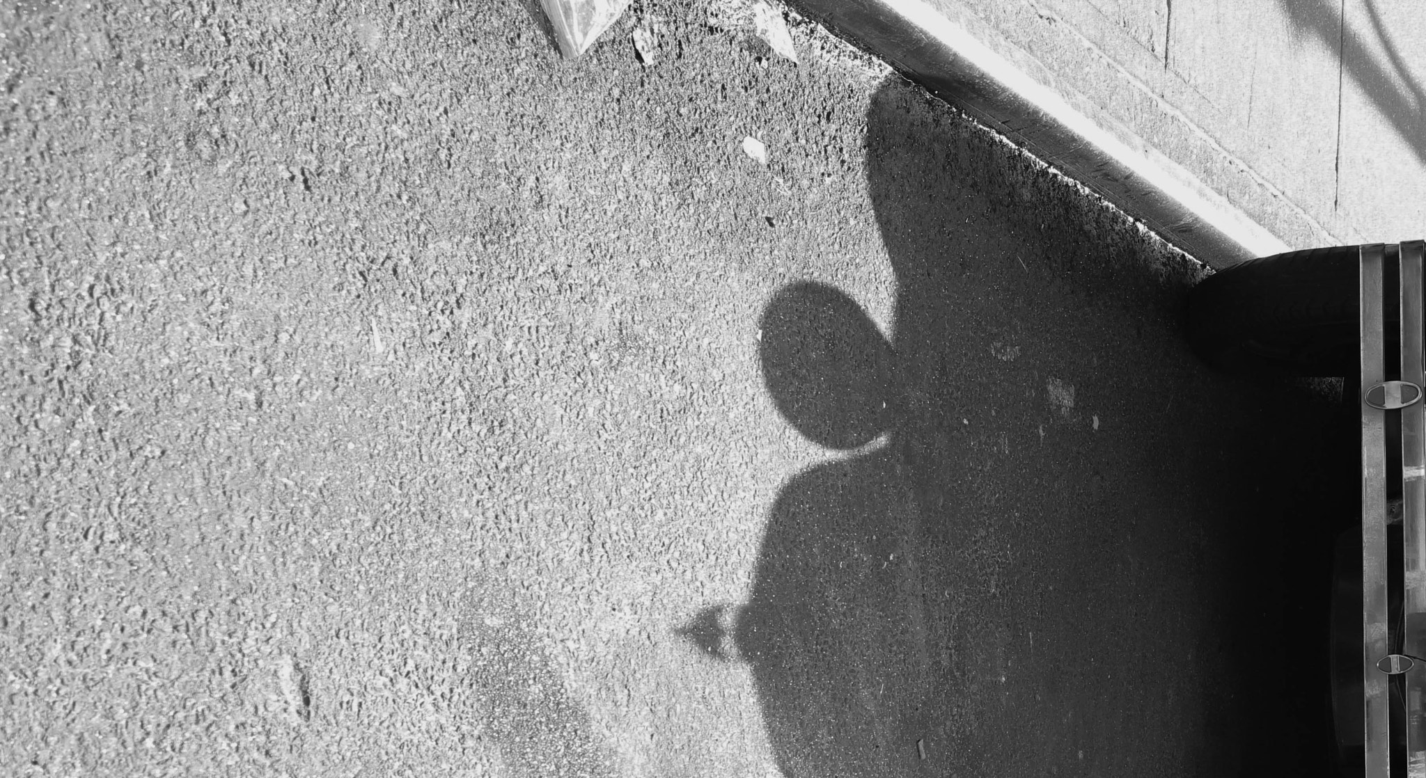 Sigma 18-35mm f/1.8 DC HSM sample photo. Nyc b/w photography