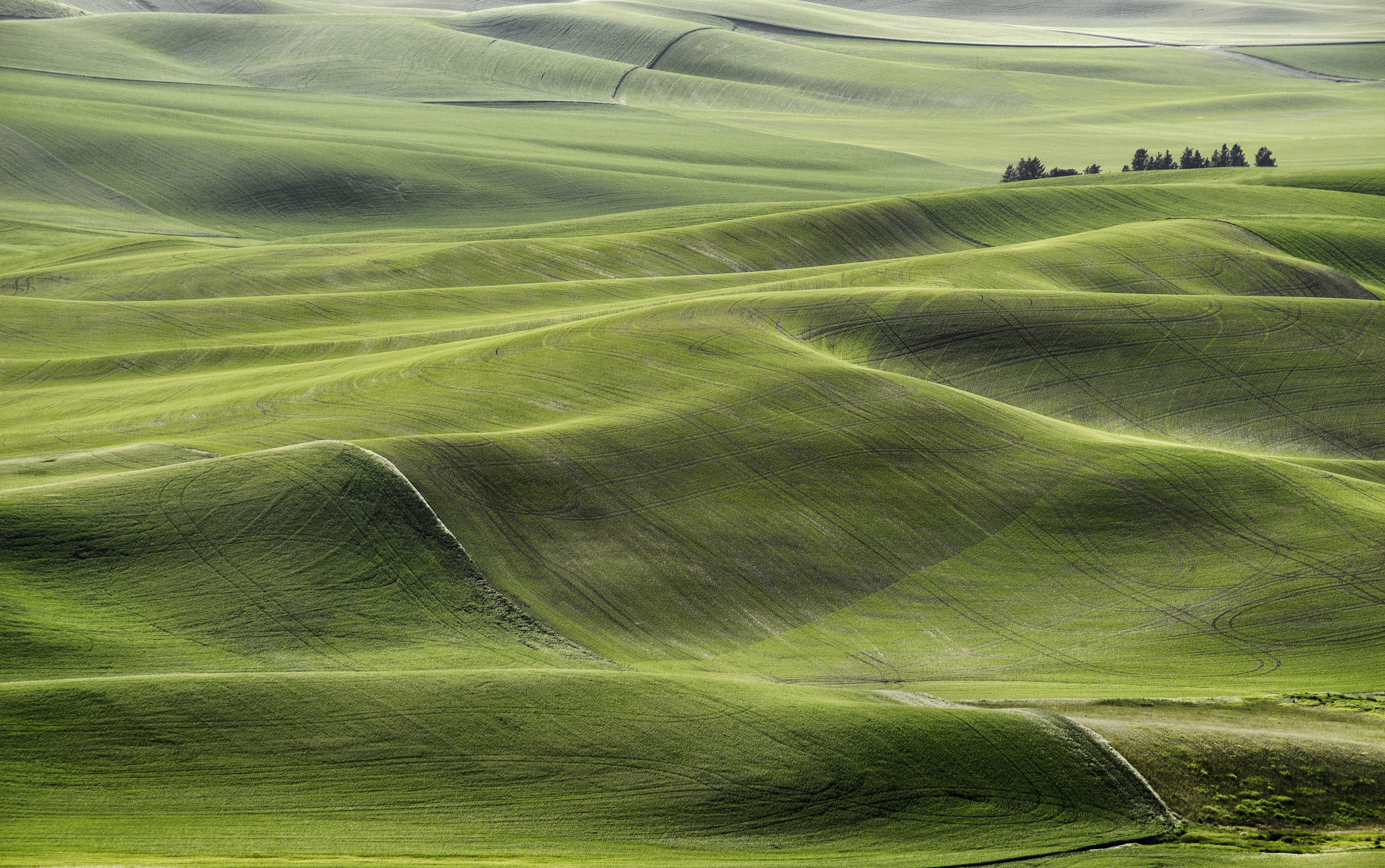 Sony a7R sample photo. Open space photography