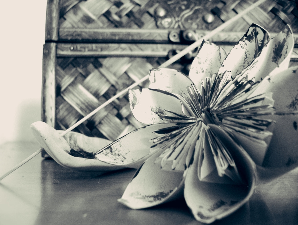 Benq DC C1060 sample photo. Origami flower photography
