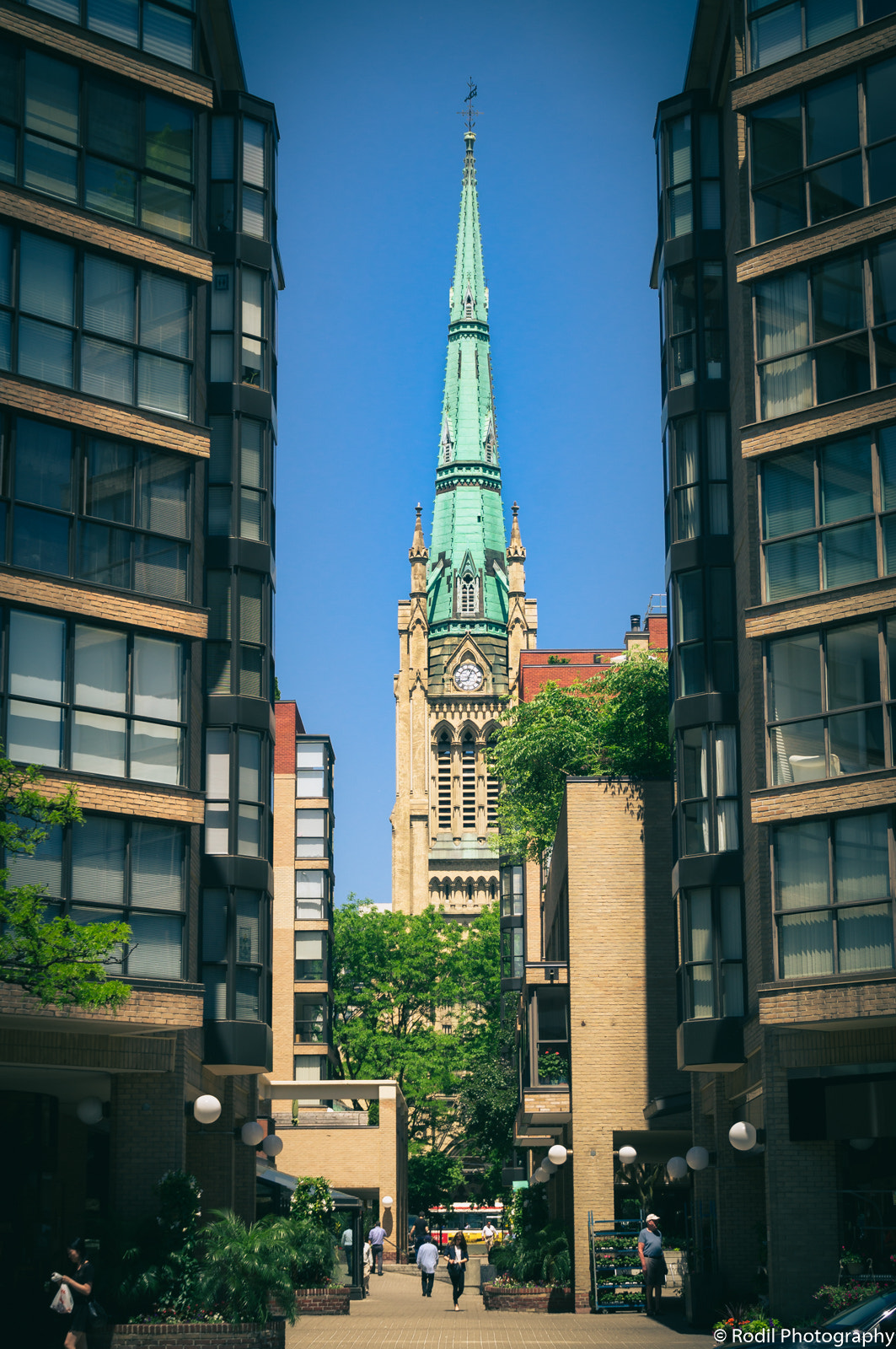Sony SLT-A37 sample photo. The cathedral church of st. james photography