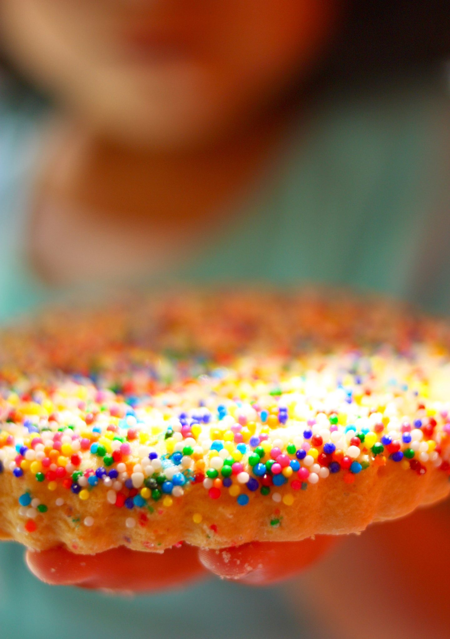 Canon EF 35mm F2 sample photo. Her favorite cookie photography