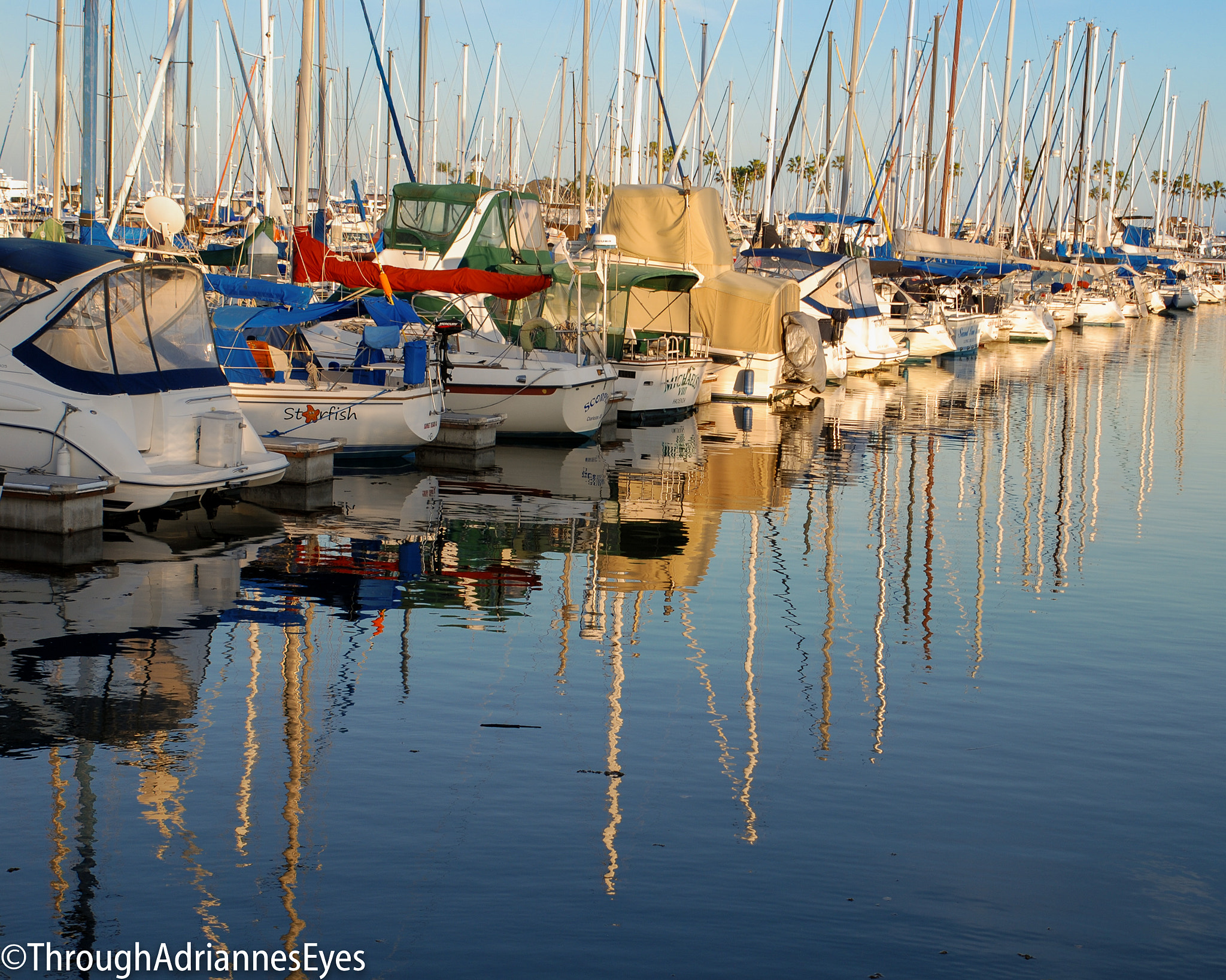Tamron SP 24-70mm F2.8 Di VC USD sample photo. One day photography