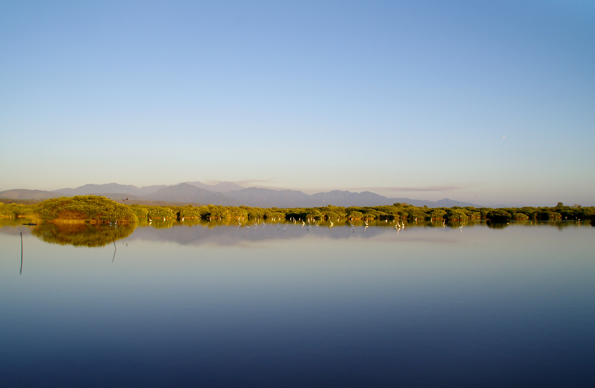 Pentax K-5 sample photo. Stille wasser sind tief photography