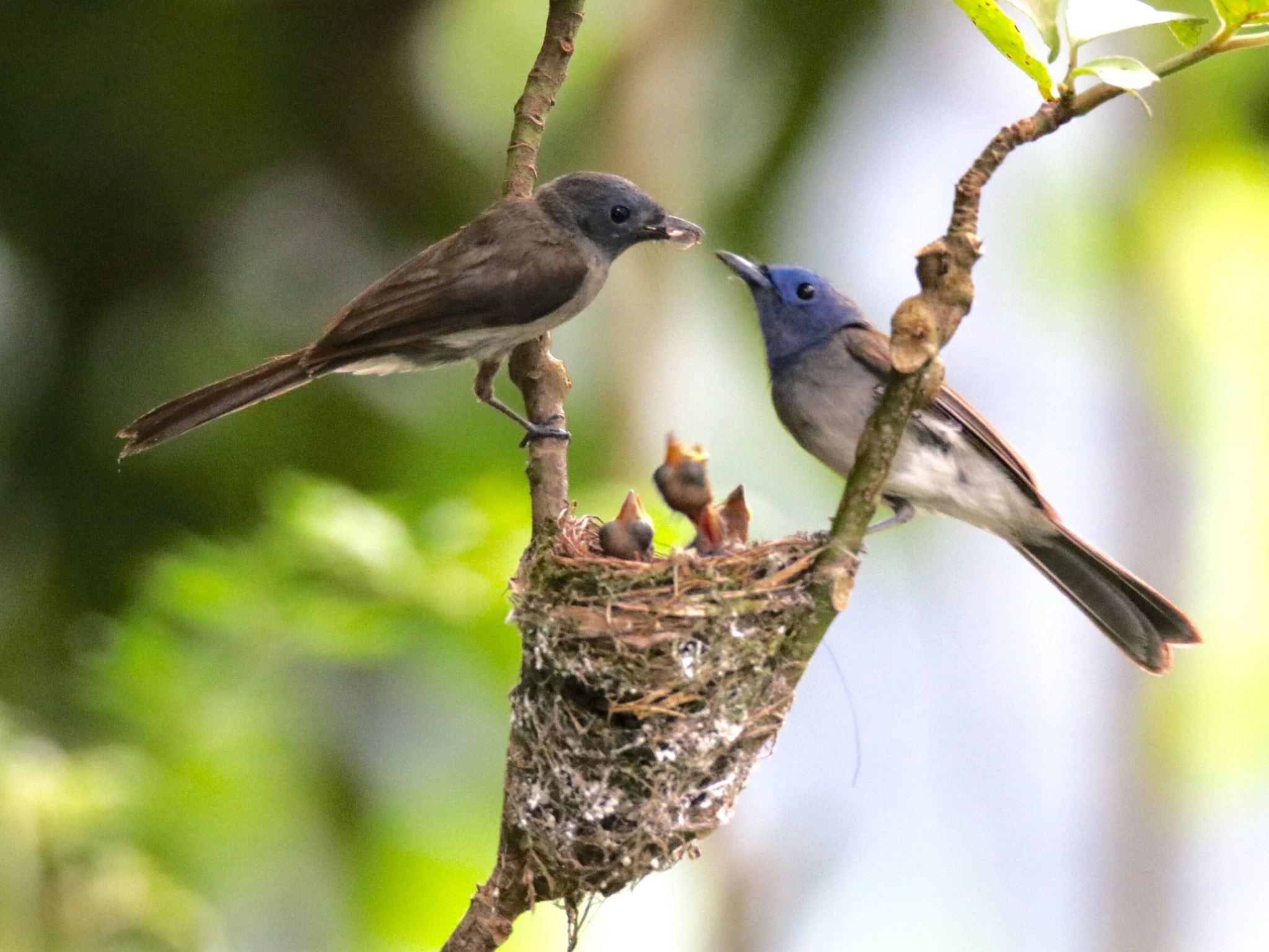 Canon EOS 750D (EOS Rebel T6i / EOS Kiss X8i) sample photo. Happy family photography