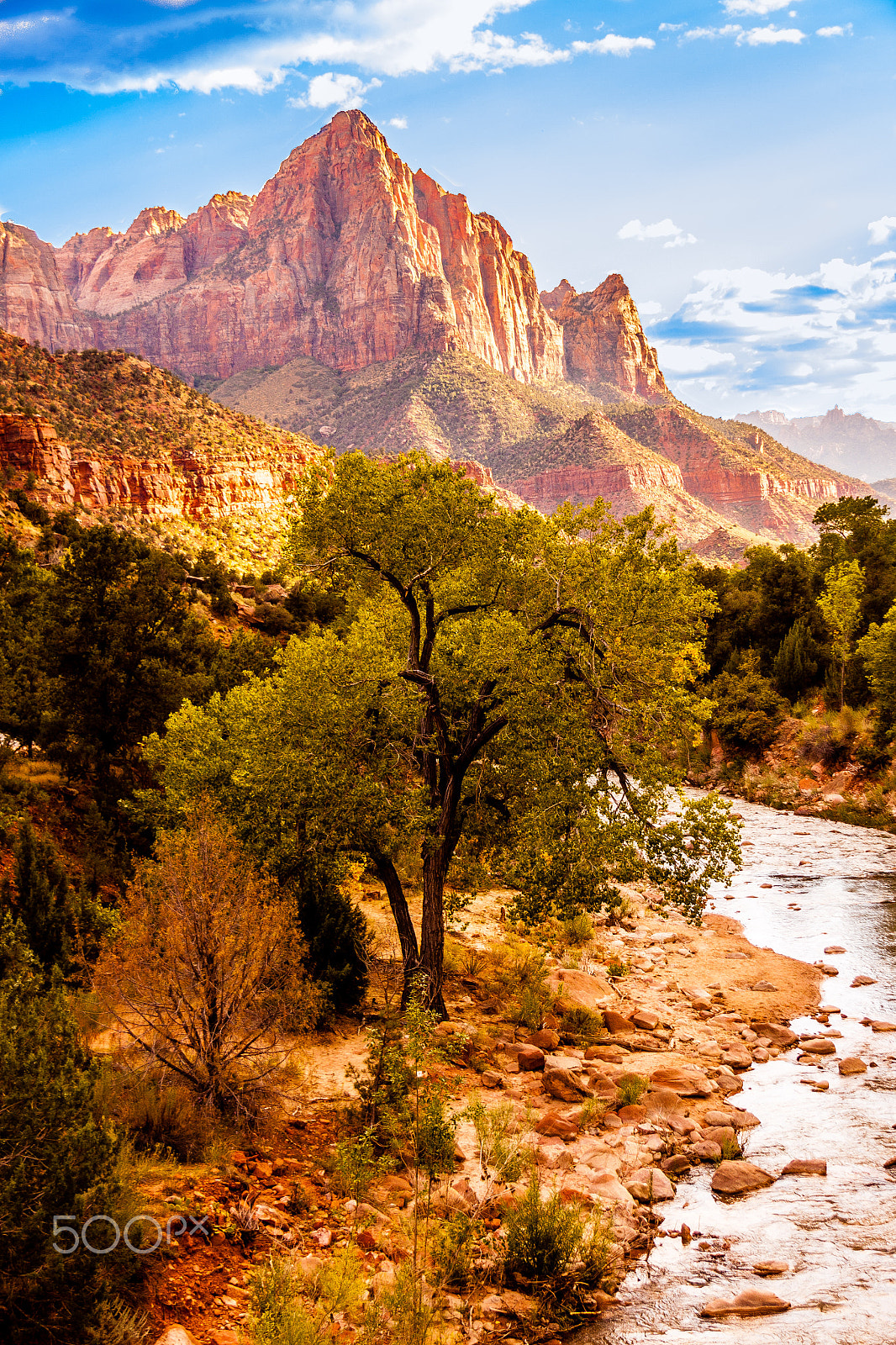 Canon EF-S 17-85mm F4-5.6 IS USM sample photo. Zion painting photography