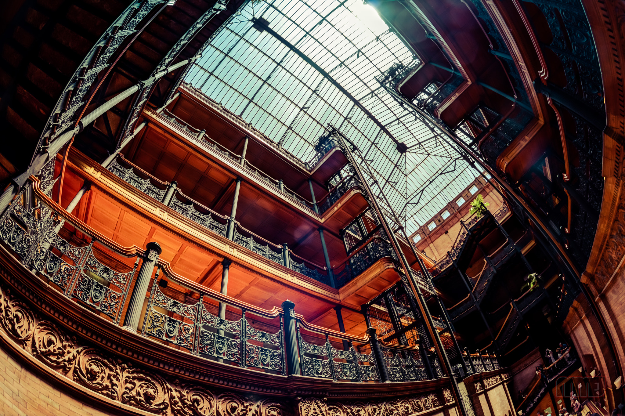 Nikon D800 + Nikon AF Fisheye-Nikkor 16mm F2.8D sample photo. Bradbury building (fisheye) photography
