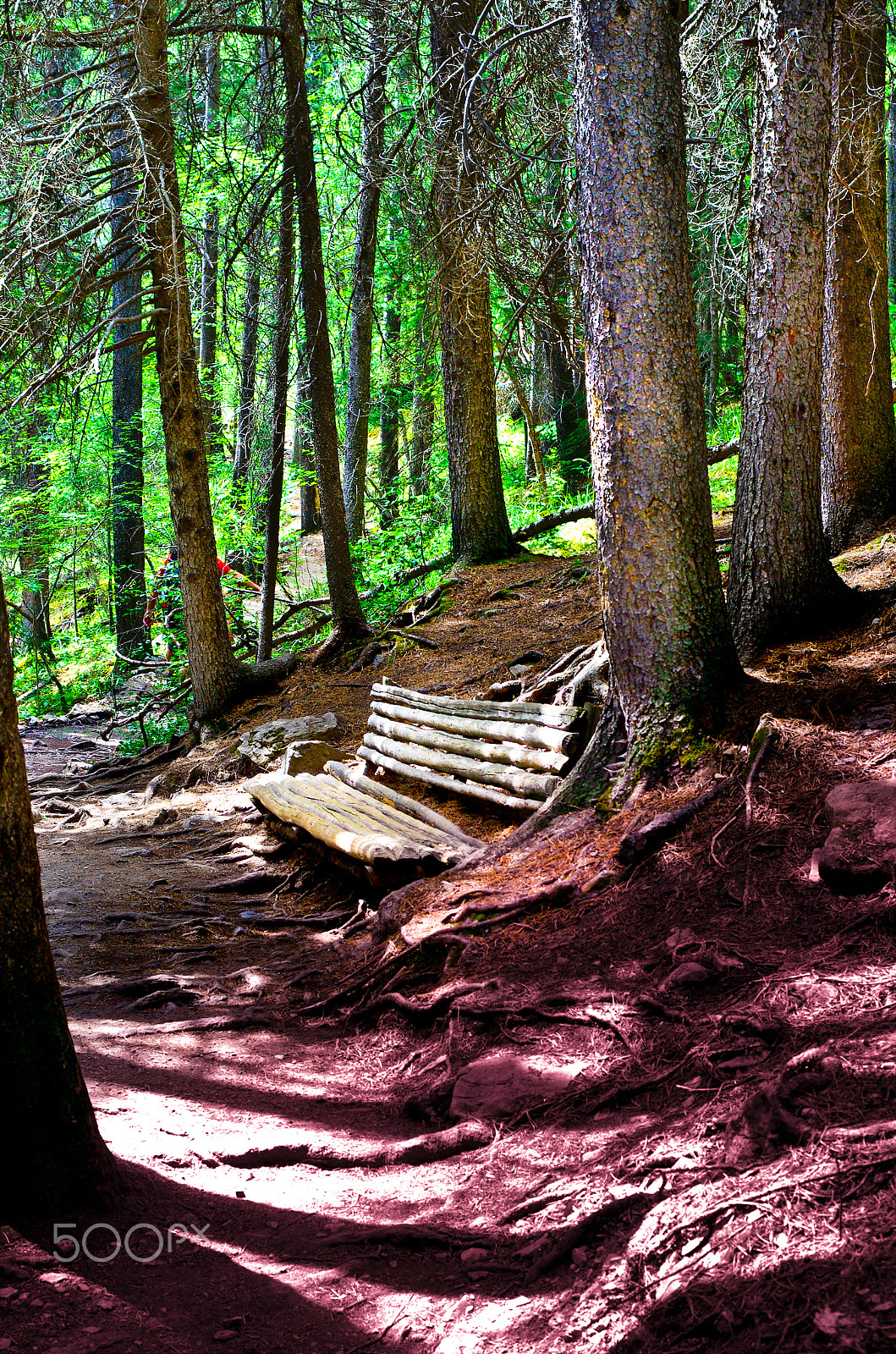 Pentax K-5 sample photo. Makeshift park bench photography