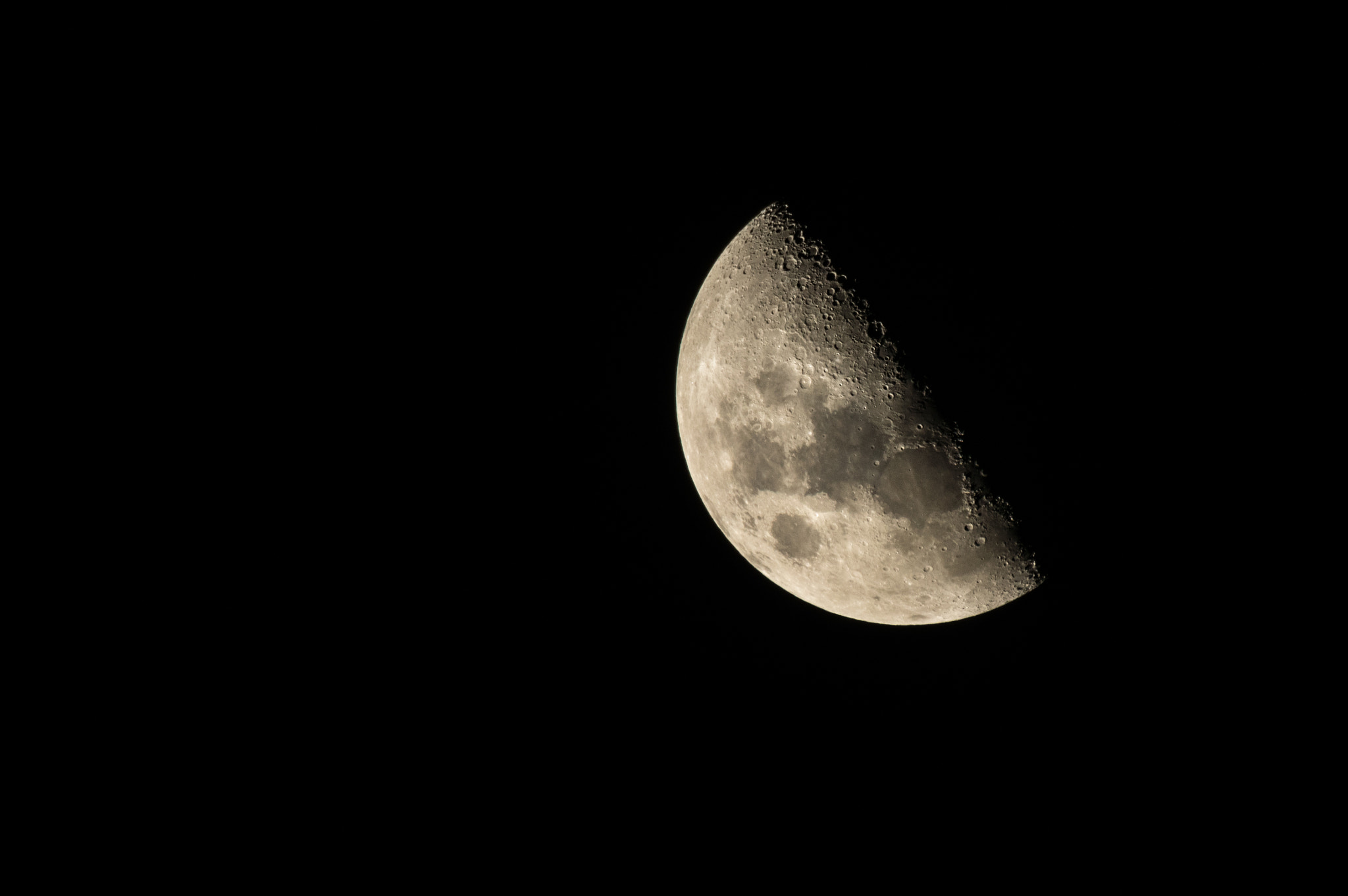 Sigma 50-500mm F4.5-6.3 DG OS HSM sample photo. Growing photography
