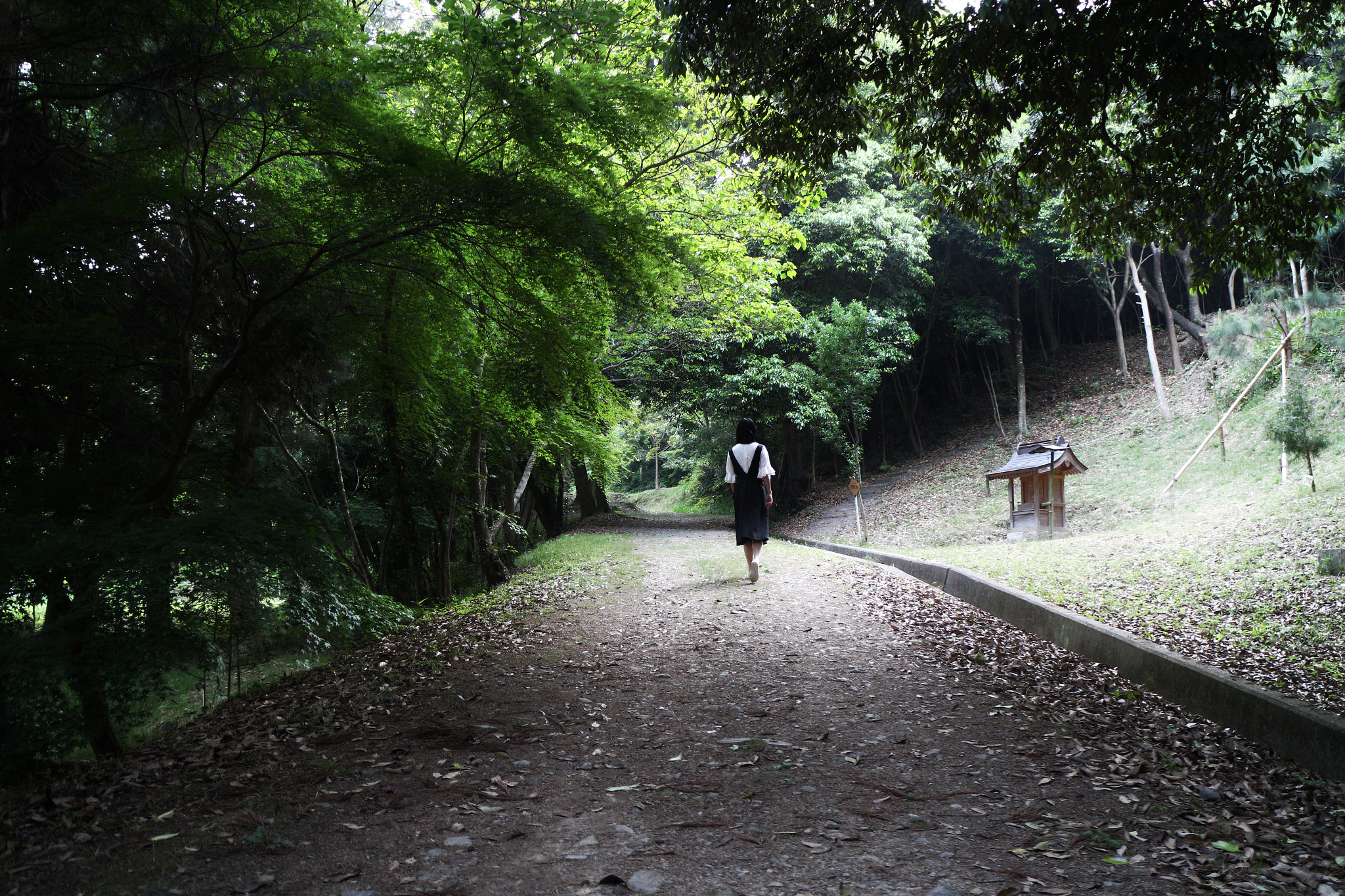 Canon EOS M2 sample photo. 森と人 photography