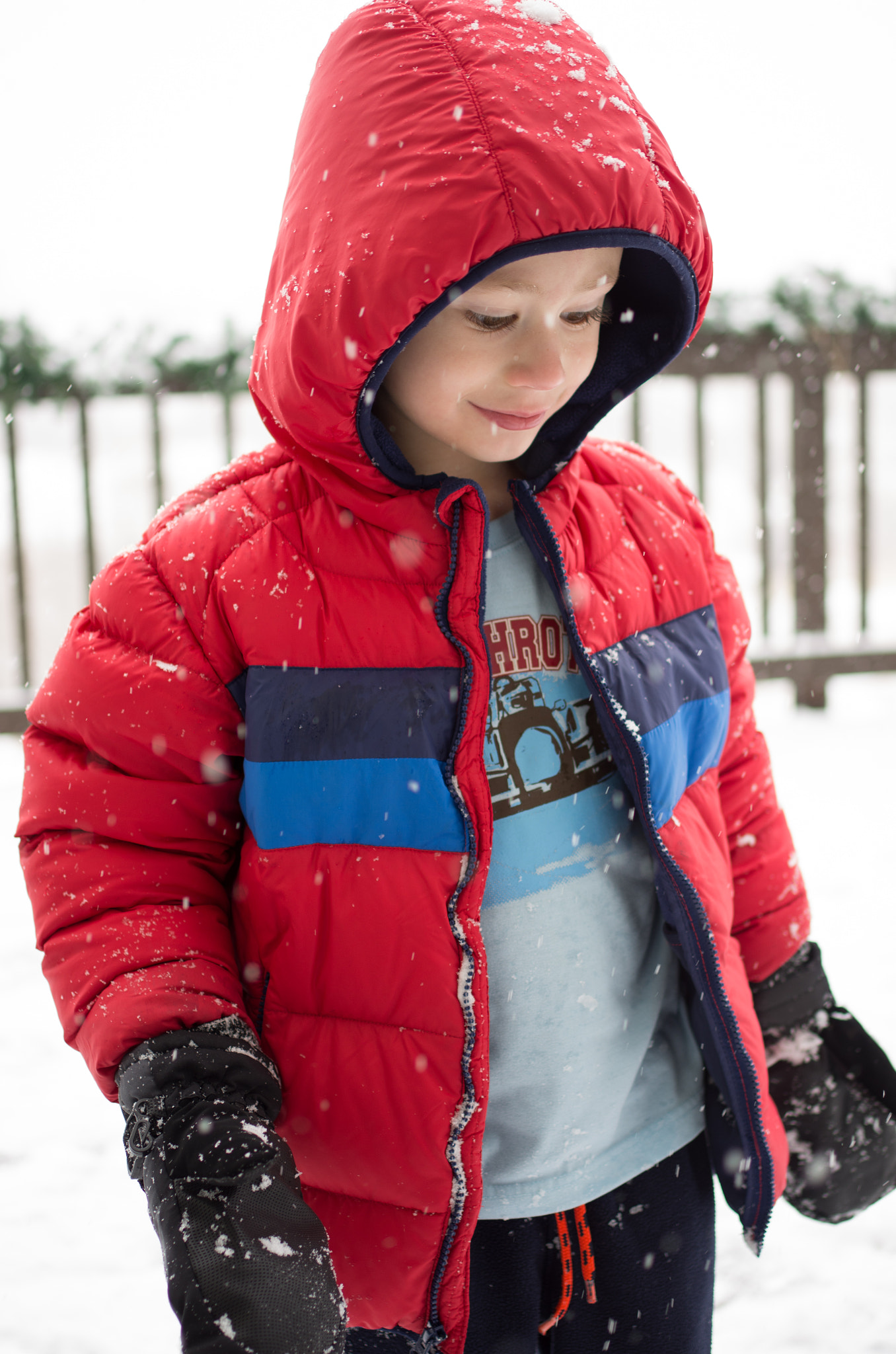 Pentax K-5 + Pentax smc DA 35mm F2.4 AL sample photo. Big flakes are magic photography