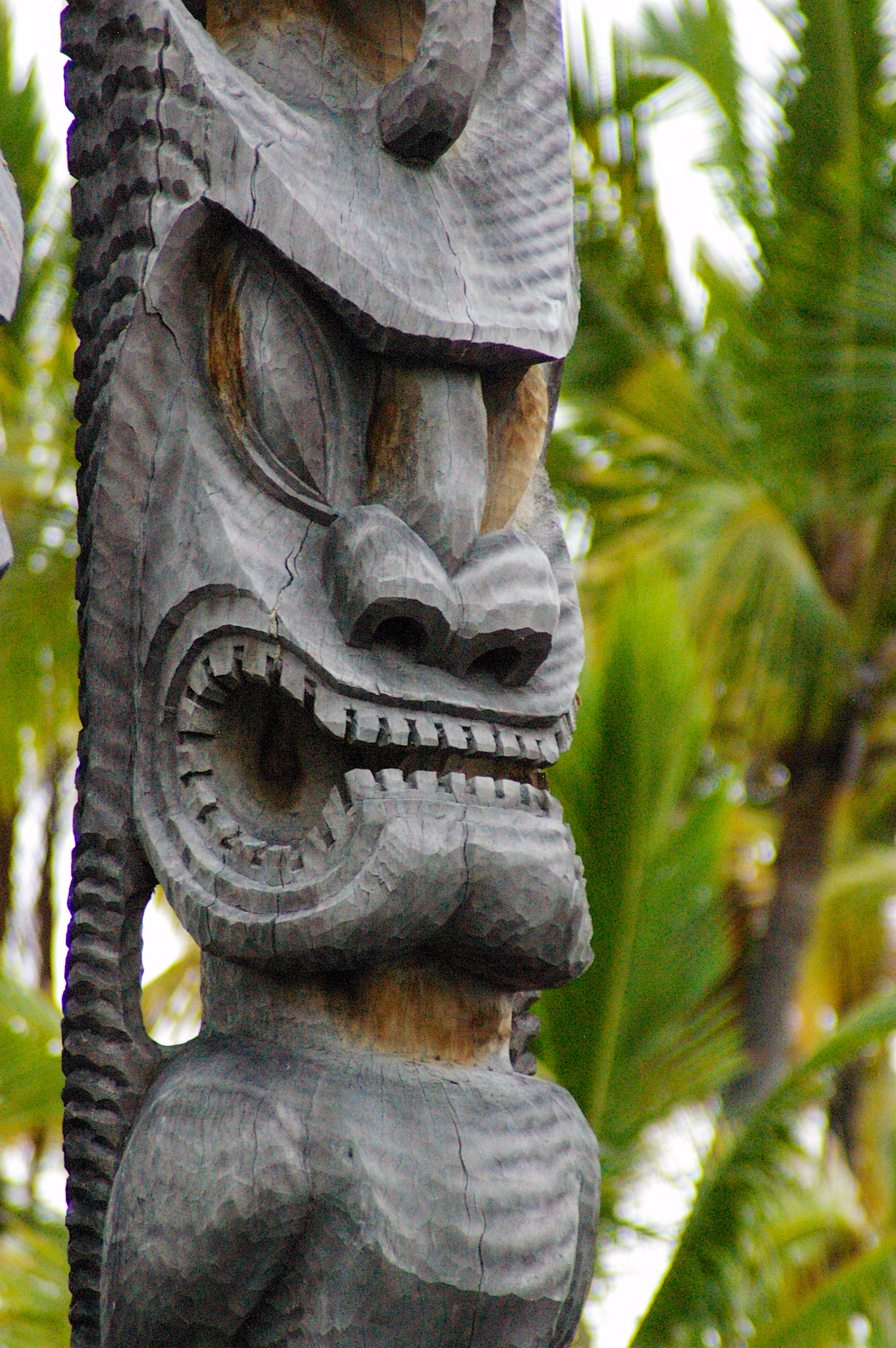 Pentax *ist DS sample photo. The tiki knows photography