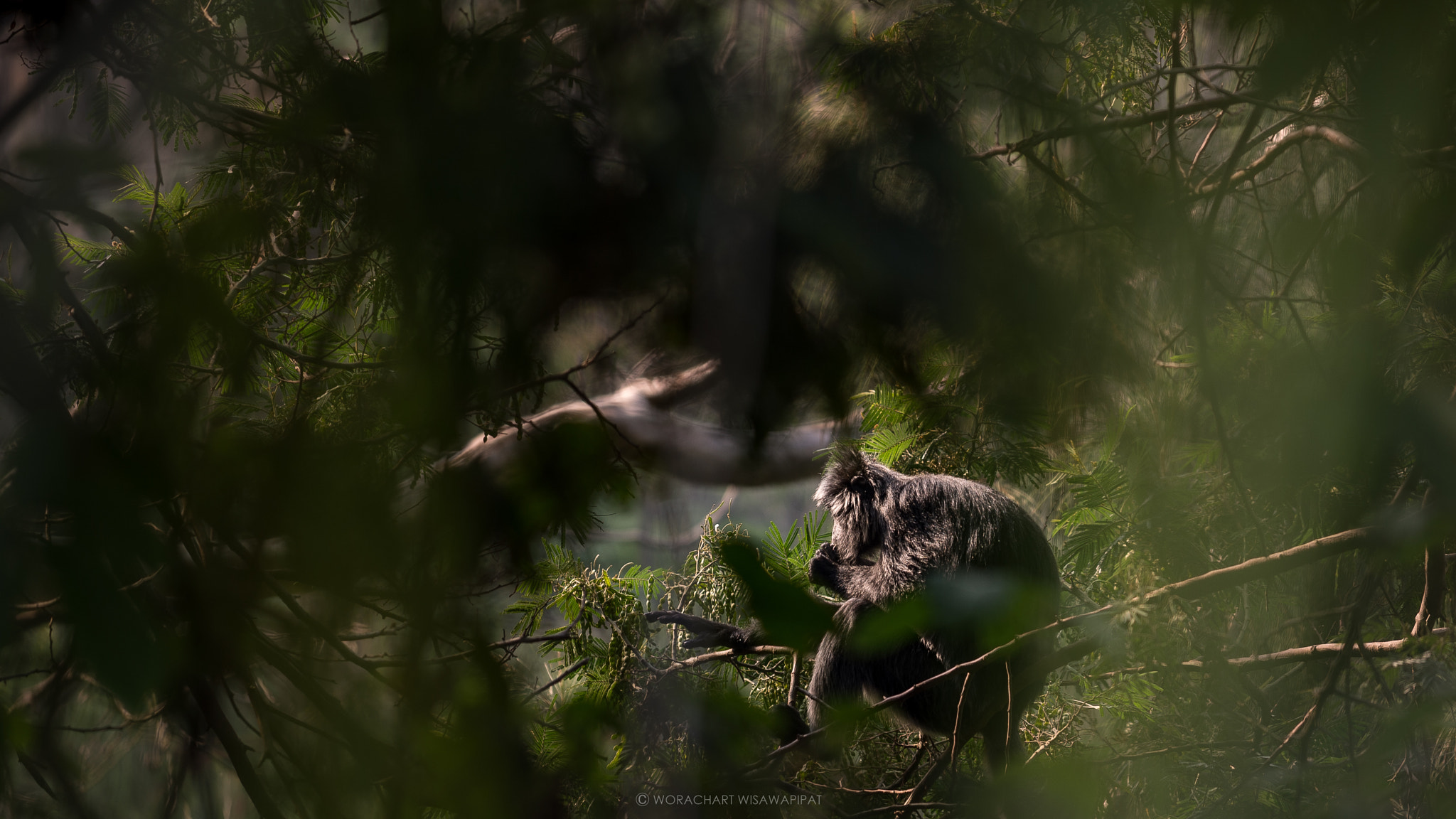 Nikon AF-S Nikkor 70-200mm F4G ED VR sample photo. Stay calm photography