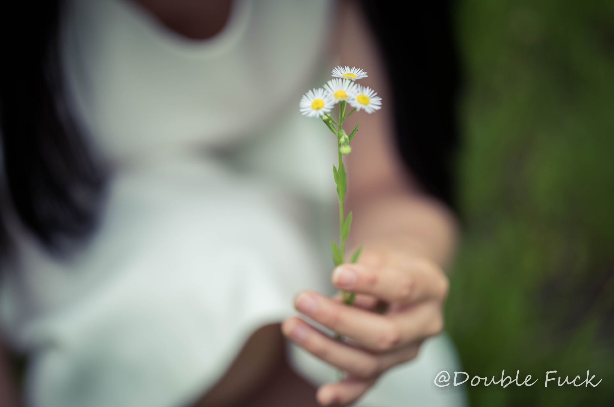 Apo-Macro-Summarit-S 120 CS sample photo