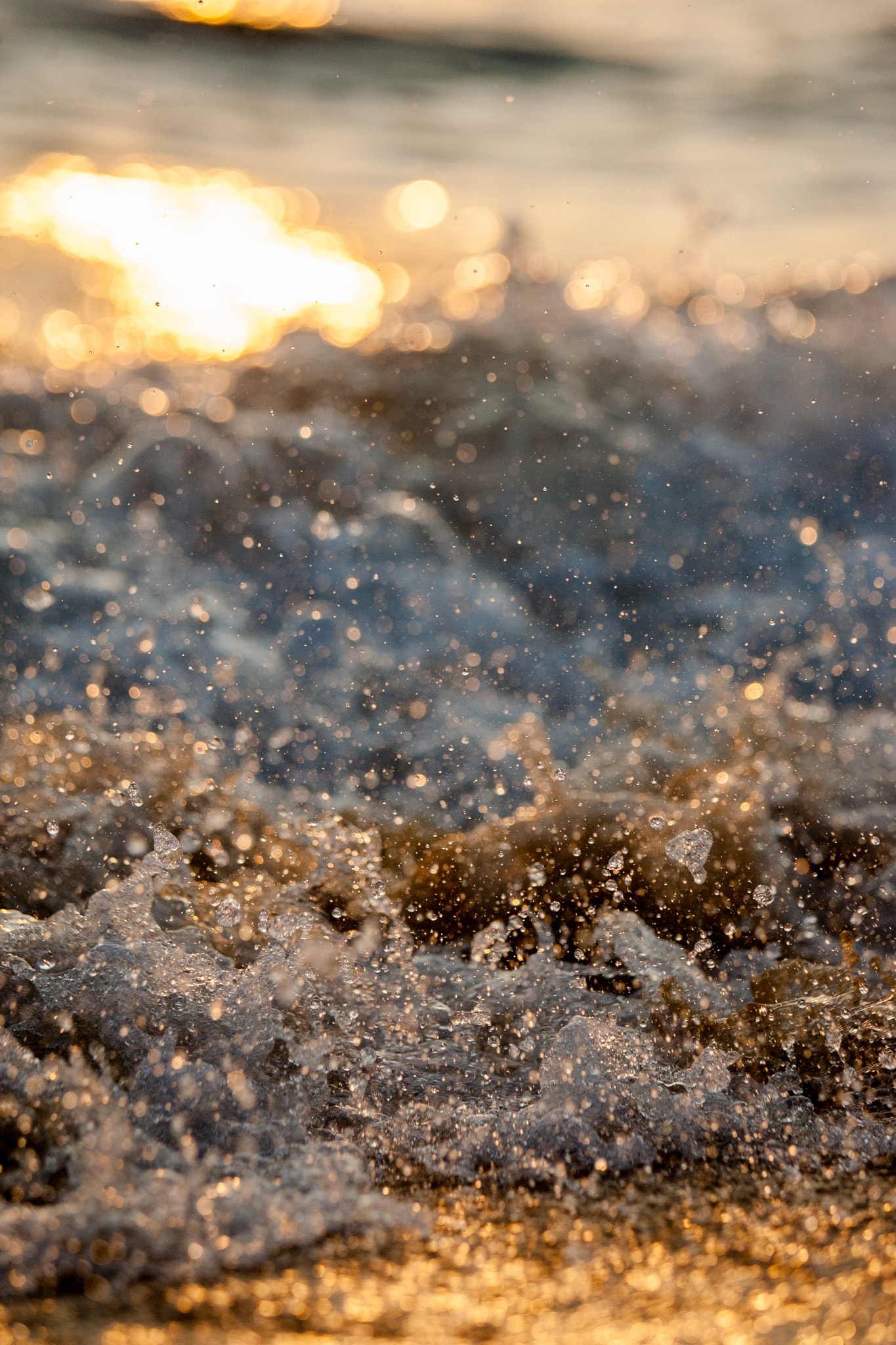 Canon EOS-1D Mark II sample photo. Mc8x2909.jpg photography