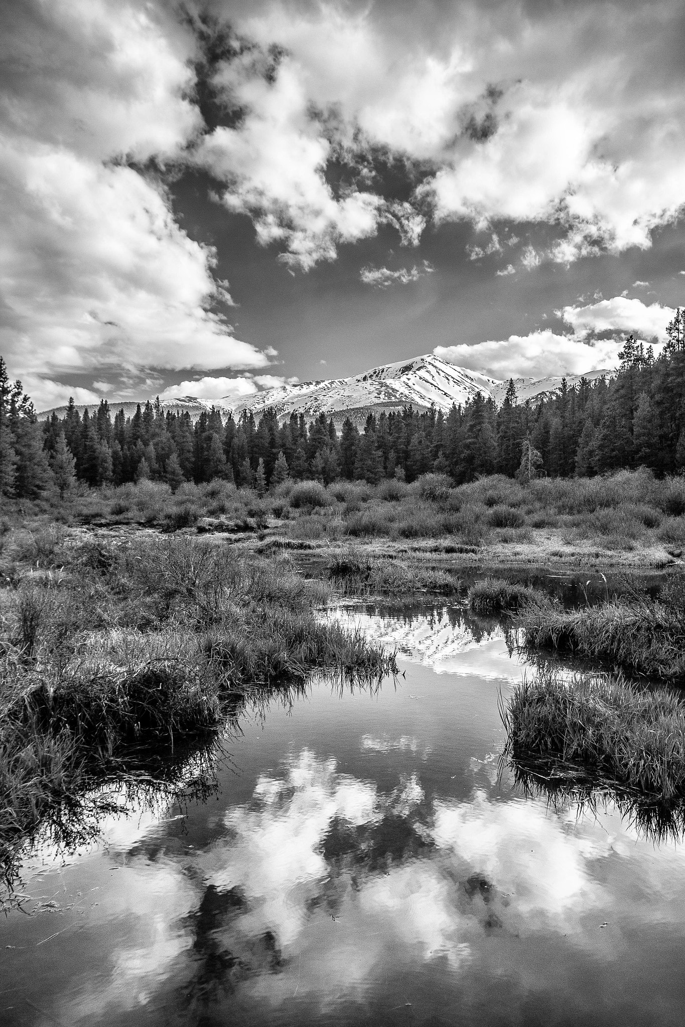 Sigma 10-20mm F4-5.6 EX DC HSM sample photo. Halfmoon pond 2 photography
