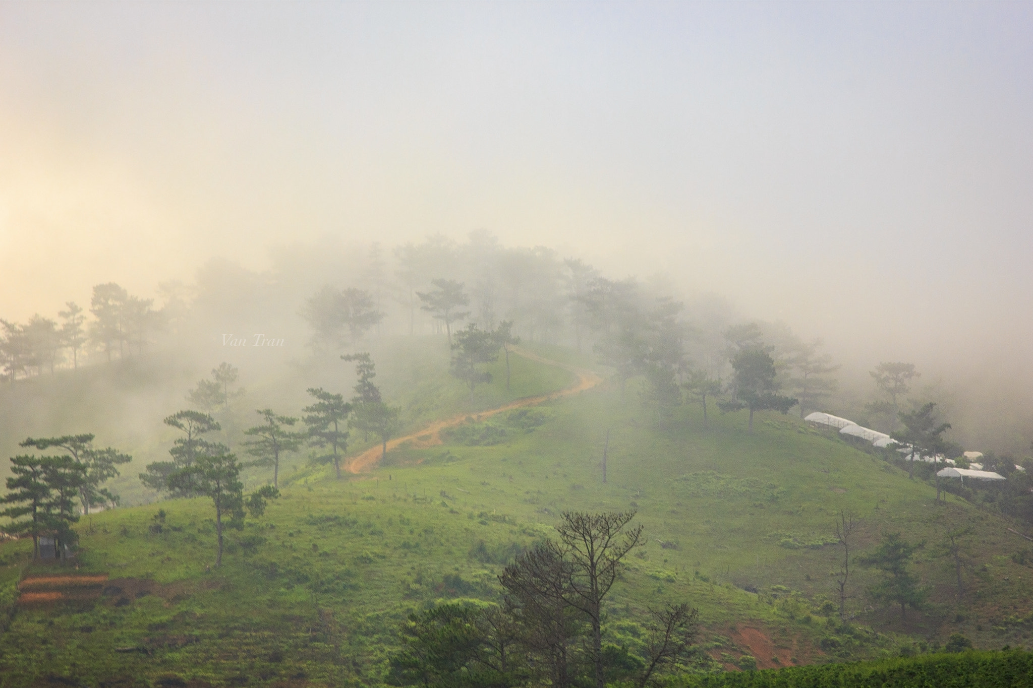 Canon EOS 550D (EOS Rebel T2i / EOS Kiss X4) sample photo. Da lat photography