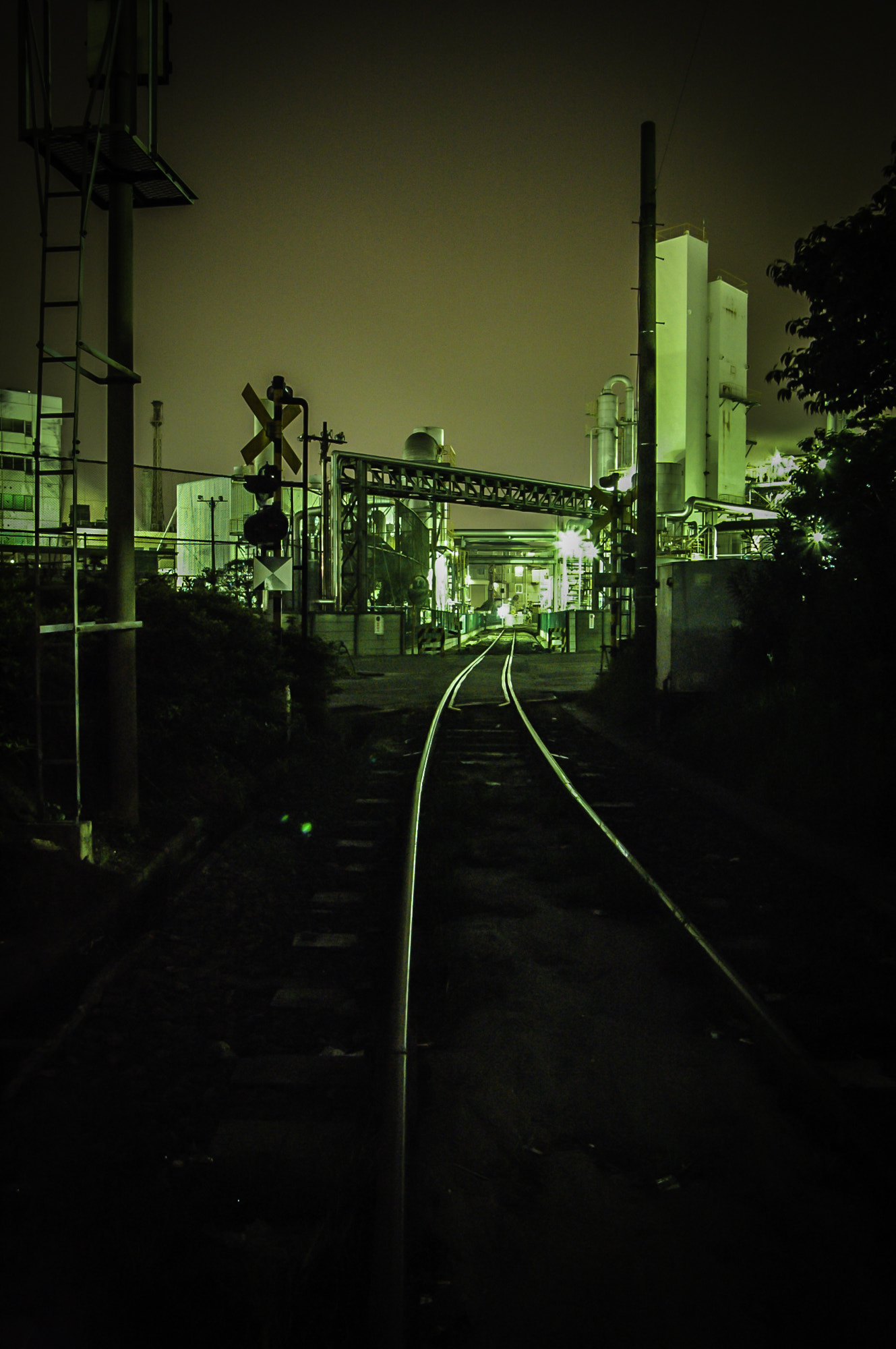 Nikon D70 sample photo. Senro to hikari photography