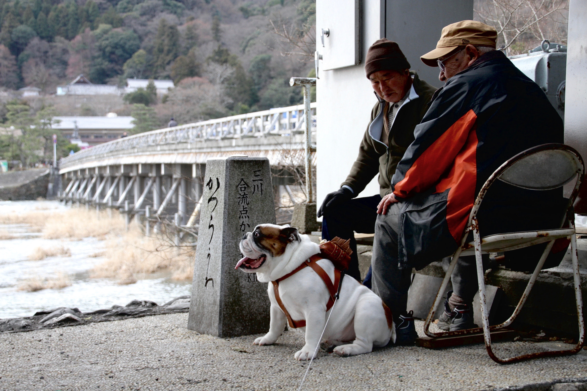 Canon EOS 7D + Sigma 18-125mm F3.8-5.6 DC OS HSM sample photo. Danta in kyoto photography