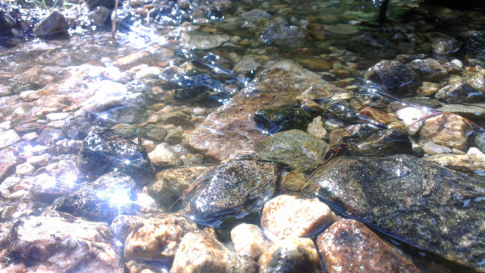 HTC ONE X sample photo. Under the sun photography