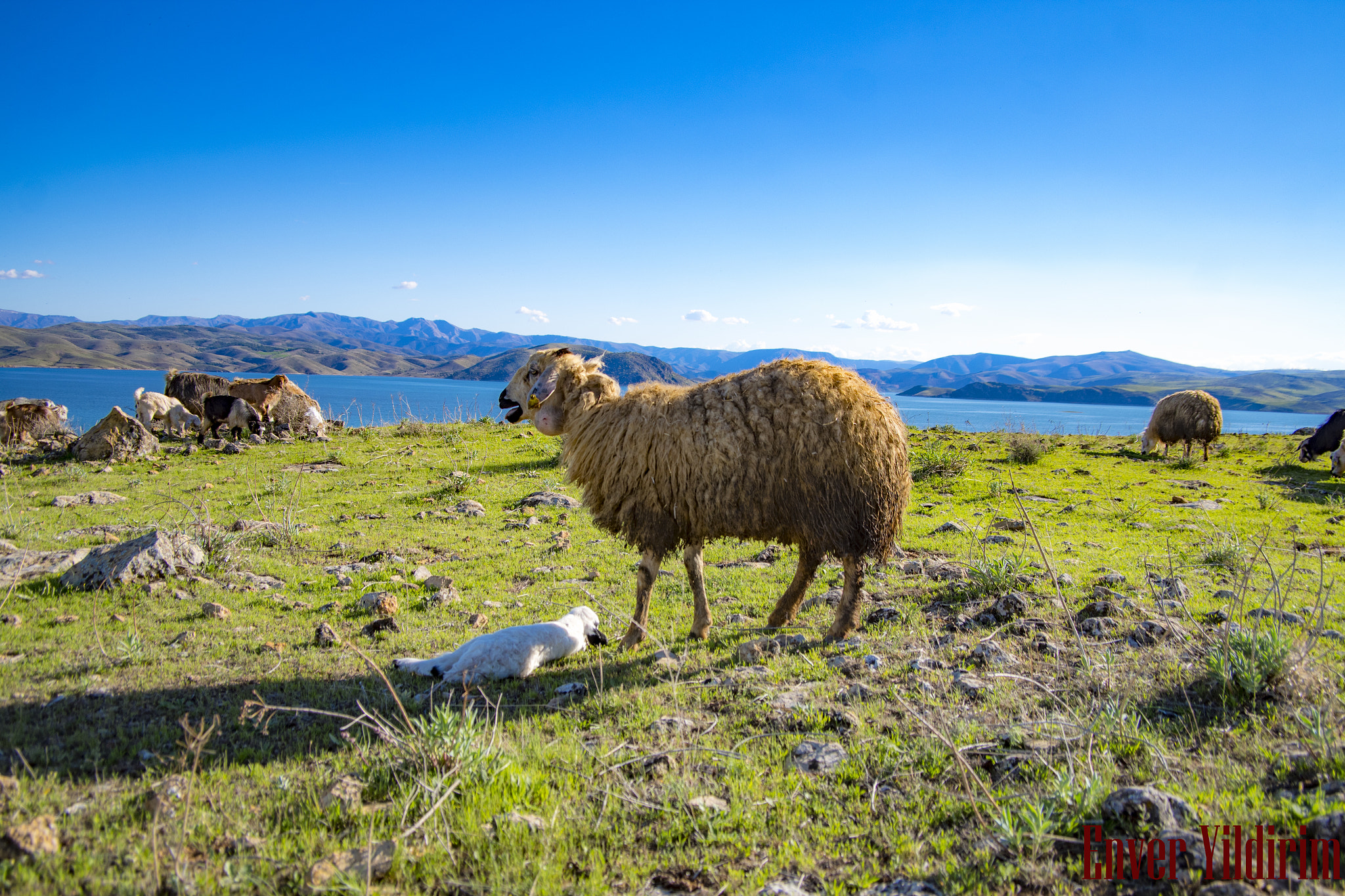 Pentax K-S1 + Pentax smc DA 16-45mm F4 ED AL sample photo. Kani hasan-dersim photography