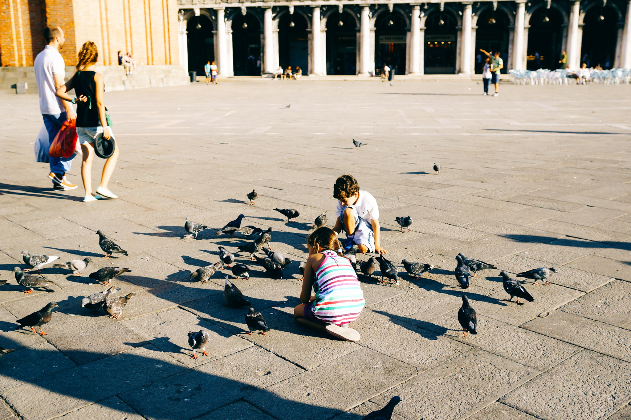 Sony SLT-A77 sample photo. Children and pigeons photography