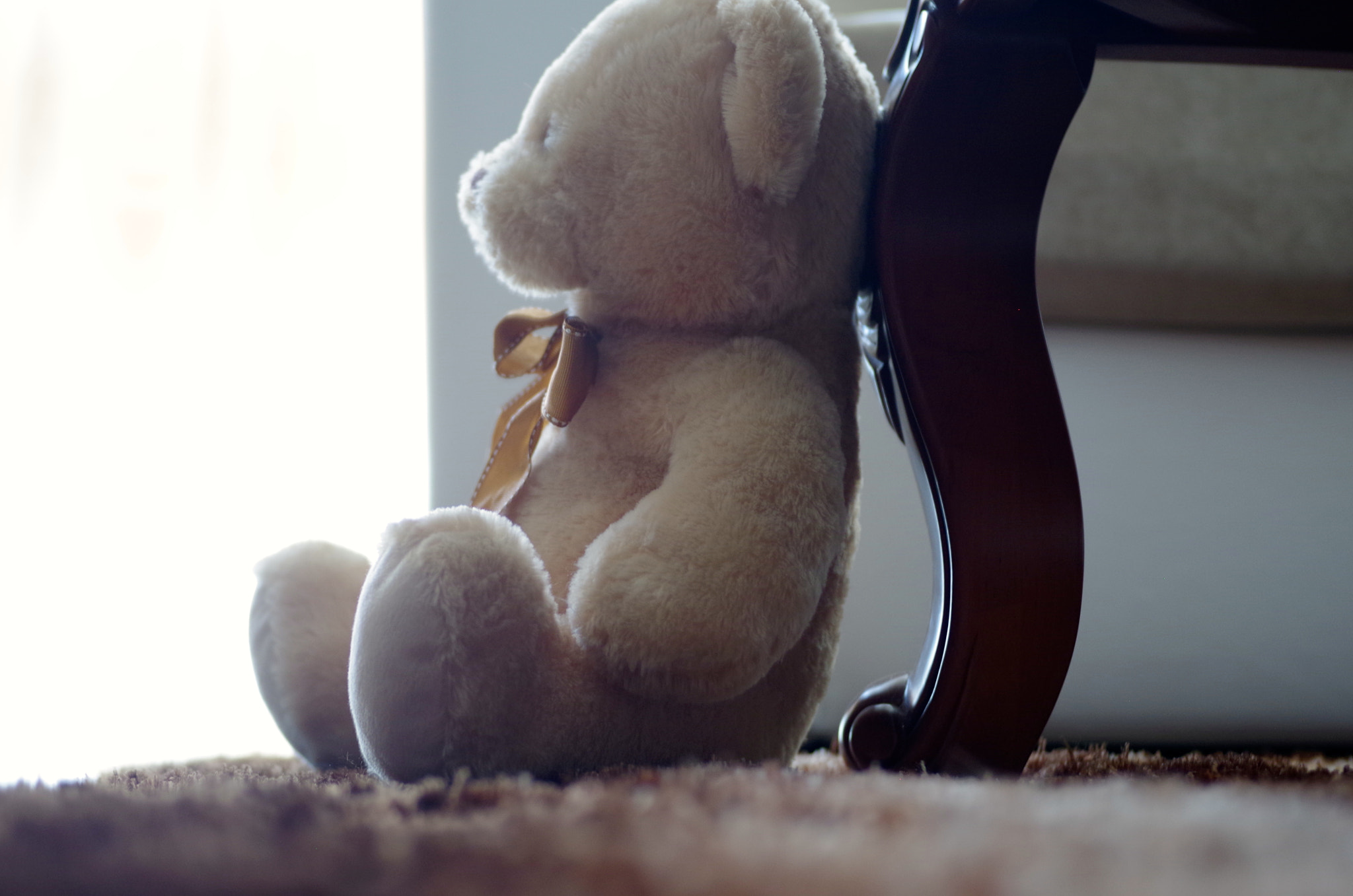 Pentax smc DA 40mm F2.8 XS Lens sample photo. Teddy bear photography