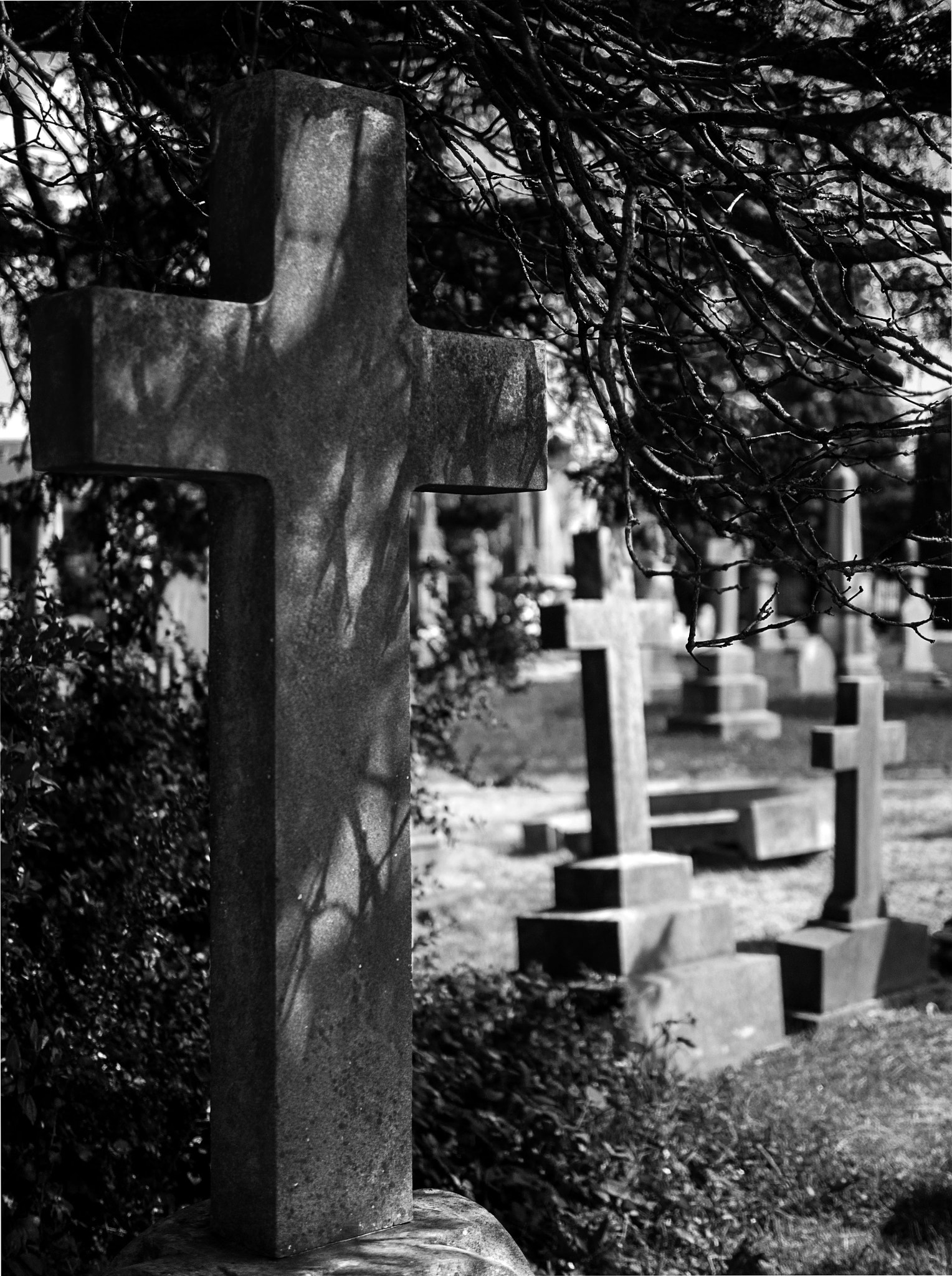 Panasonic Lumix DMC-G3 + Panasonic Leica DG Summilux 25mm F1.4 II ASPH sample photo. At rest in the shade. photography