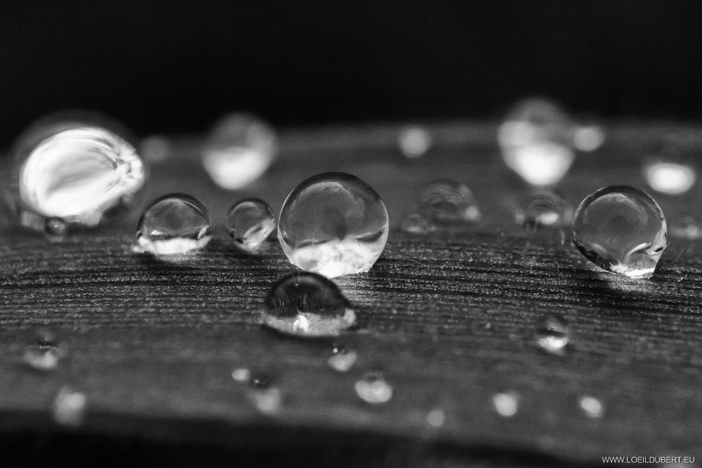 Canon EF 35-80mm f/4-5.6 sample photo. Drops will die photography