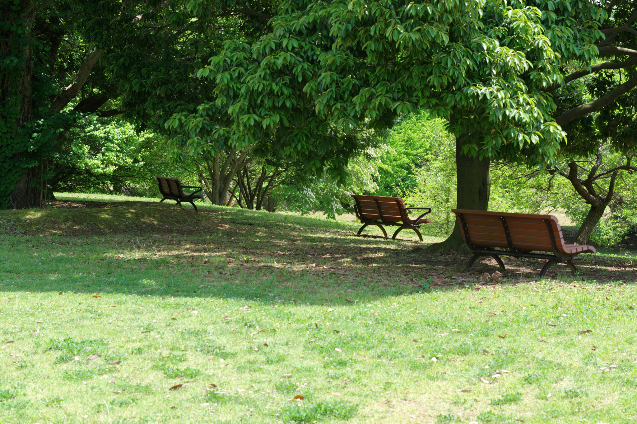 Pentax K-3 sample photo. The benches....my favorites photography