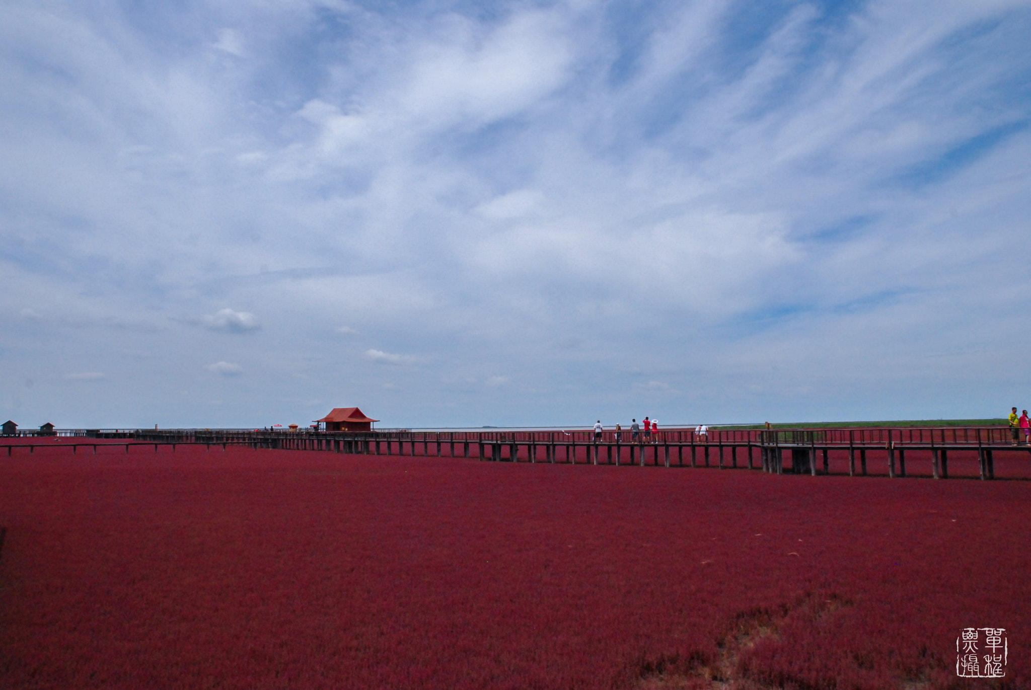 Nikon D80 sample photo. Red beach-china photography