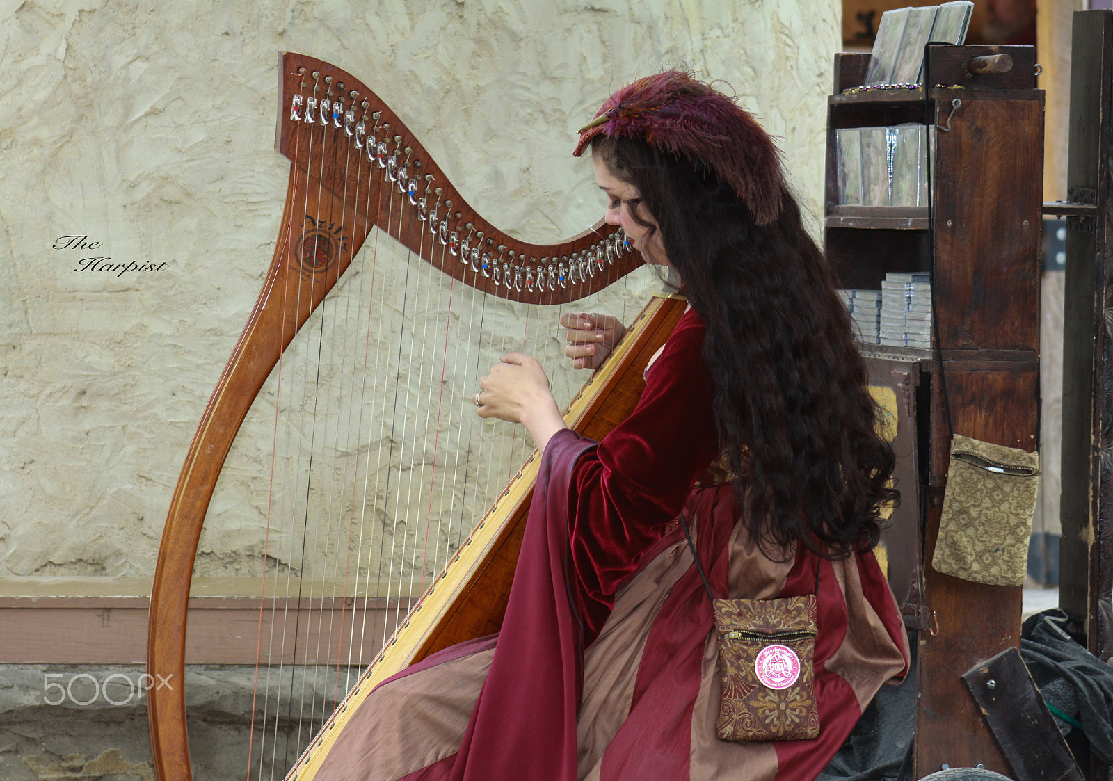 Canon EOS 50D + EF75-300mm f/4-5.6 sample photo. The harpist photography