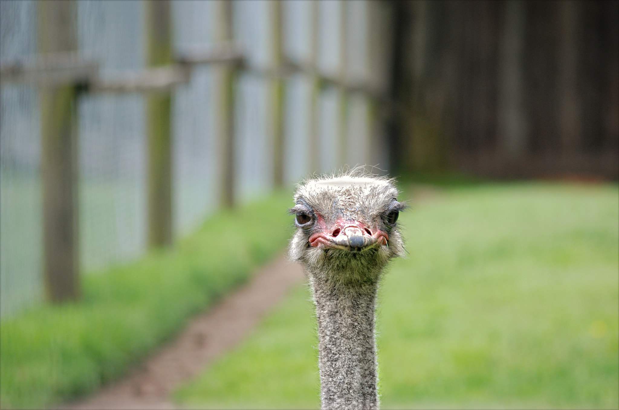 Sigma 70-300mm F4-5.6 APO DG Macro sample photo. Beg your pardon...? photography