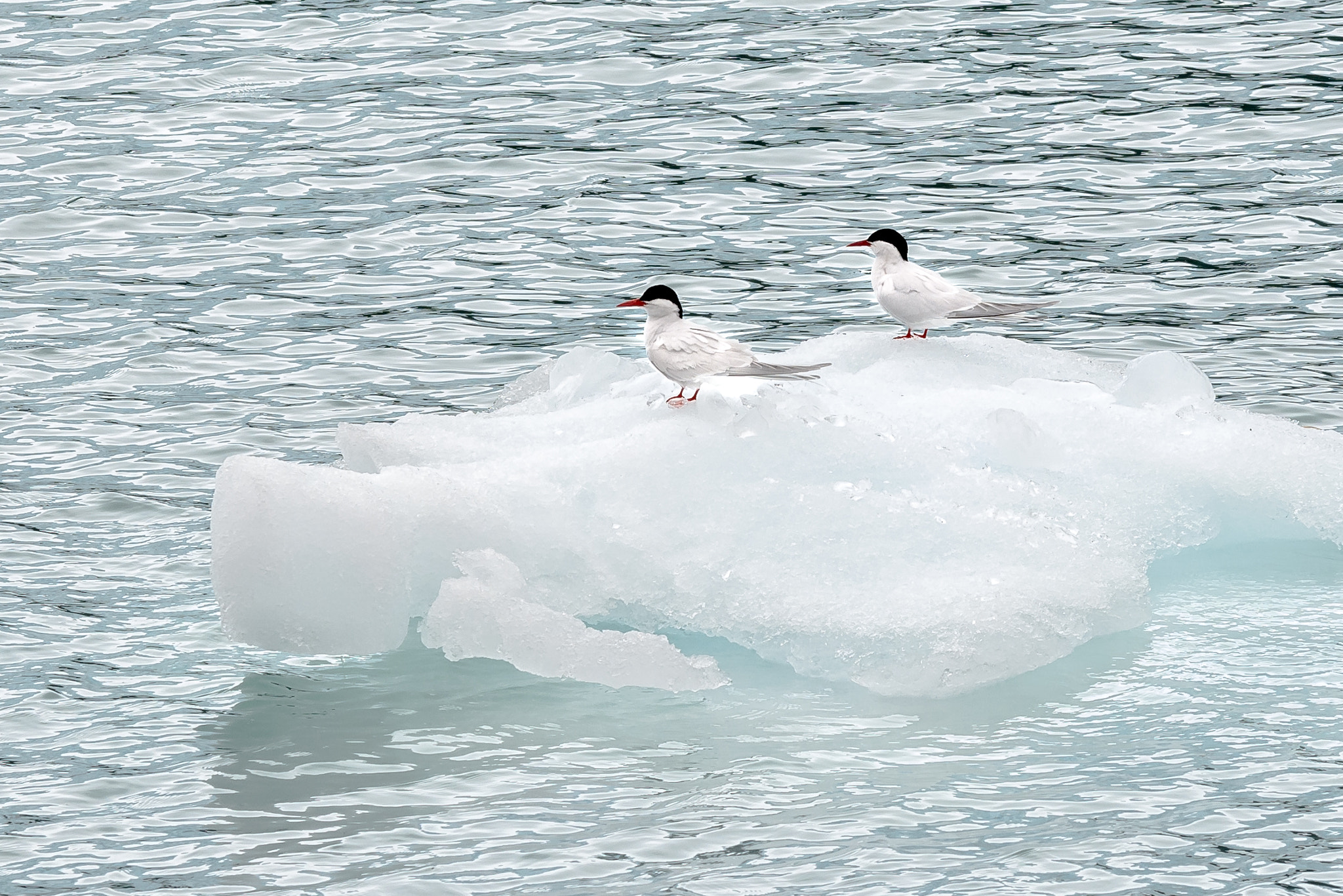 Nikon D7100 + Sigma 50-150mm F2.8 EX APO DC OS HSM sample photo. Private boat photography