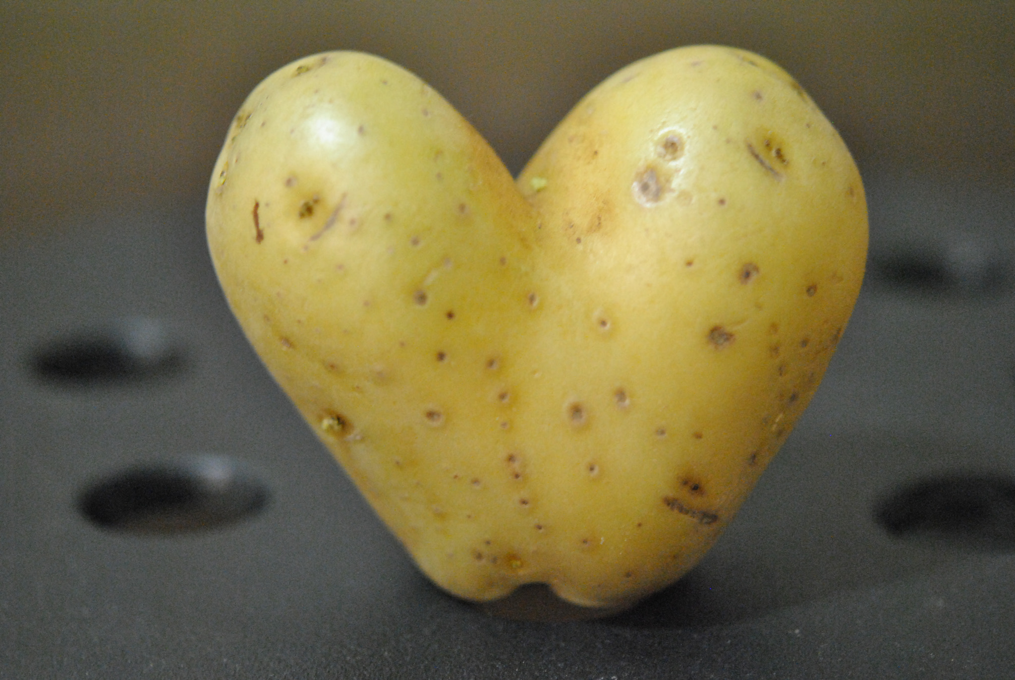 Nikon AF-S Micro-Nikkor 60mm F2.8G ED sample photo. Potato photography