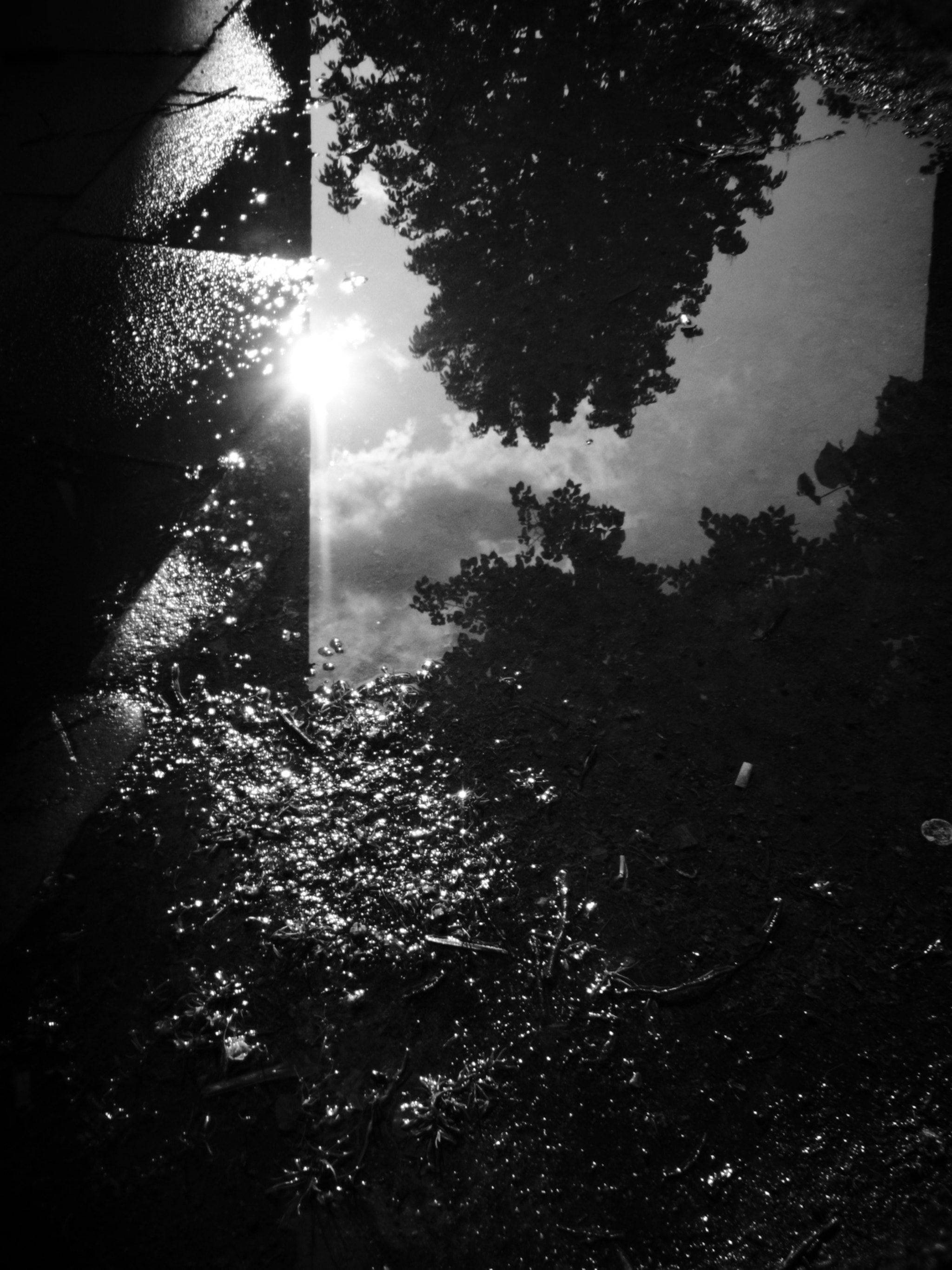 Ricoh CX5 sample photo. St.pauli - kastanienallee photography