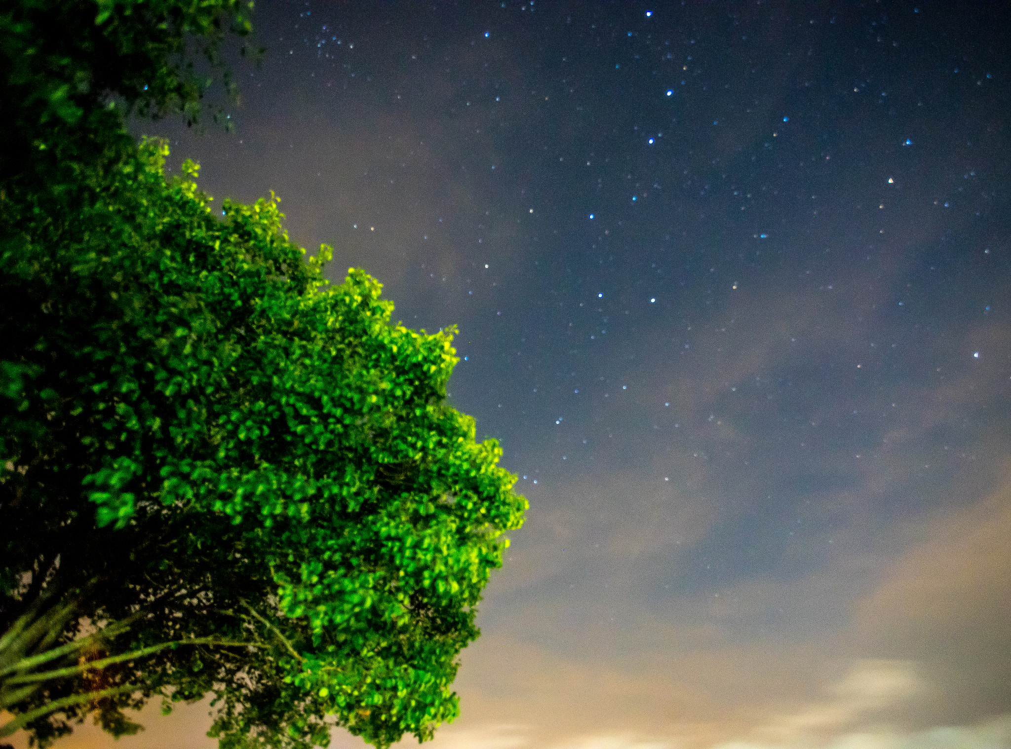 Sony a7 II + Canon EF 17-40mm F4L USM sample photo