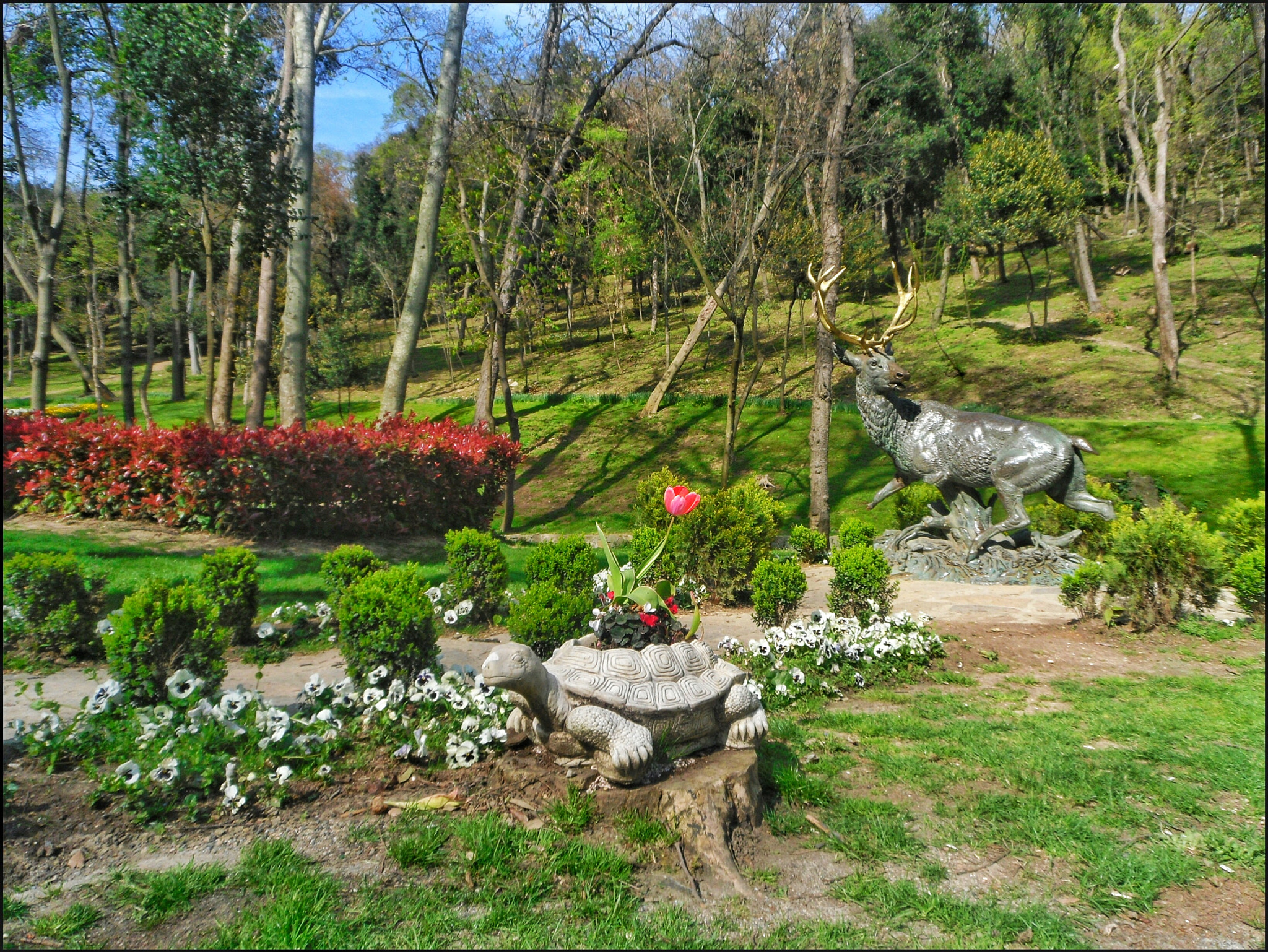 Samsung PL80/VLUU PL80/ SL630/ PL81 sample photo. Yıldız park,  istanbul.  photography