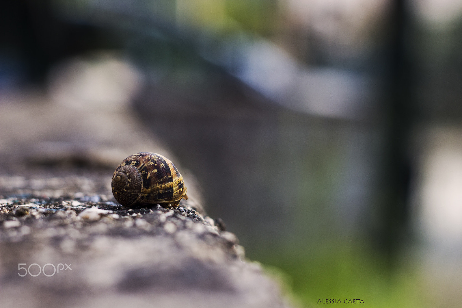 Canon EOS 700D (EOS Rebel T5i / EOS Kiss X7i) + Canon EF 50mm f/1.8 sample photo. Are you awake? photography