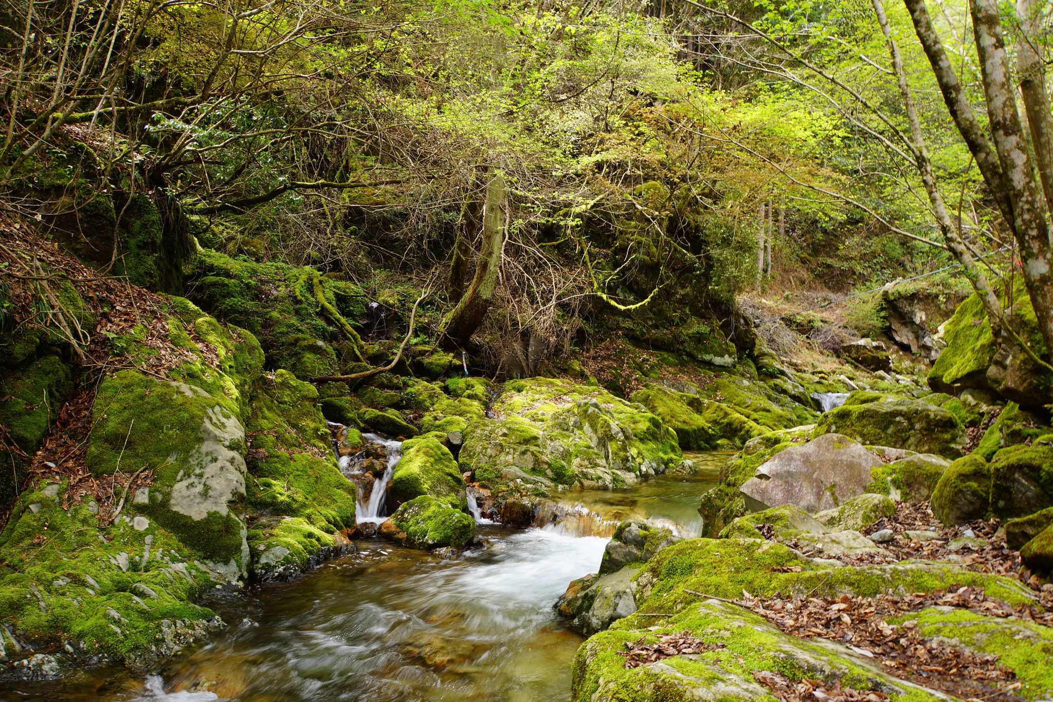 Sony E 18-200mm F3.5-6.3 OSS LE sample photo. Haga stream photography