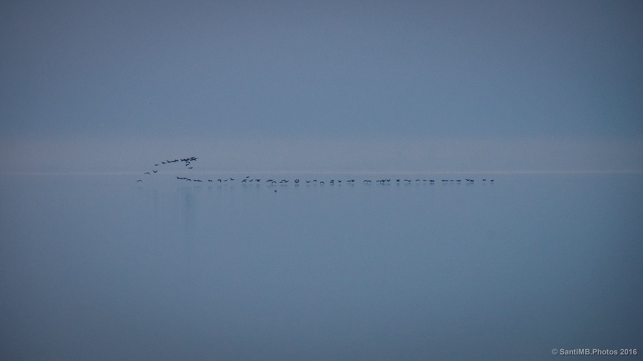 Sony Alpha DSLR-A580 sample photo. Evitando el horizonte photography