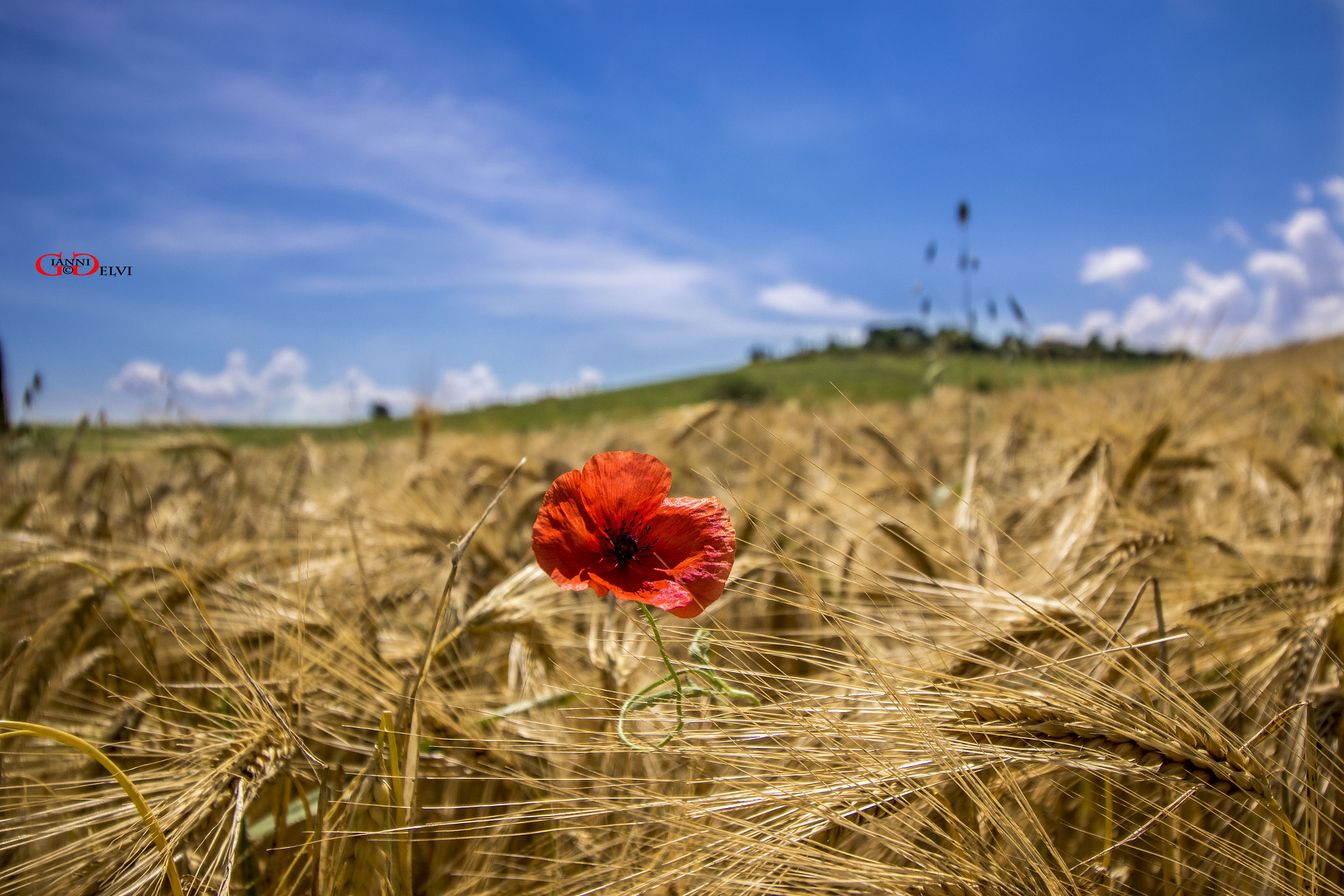 Canon EF-S 10-18mm F4.5–5.6 IS STM sample photo. Cervognano photography