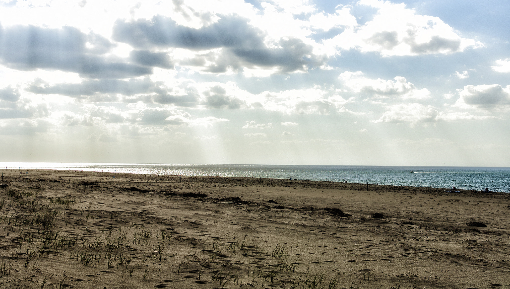 Nikon D2X sample photo. Race point beach in provincetown, ma. photography