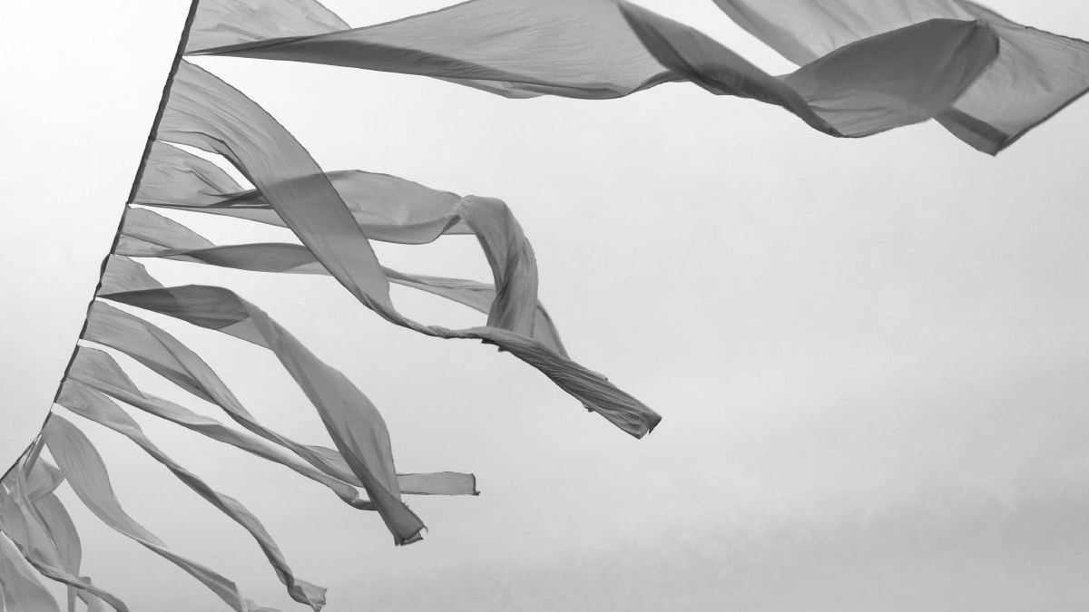 Canon EOS-1D Mark III sample photo. Wind photography