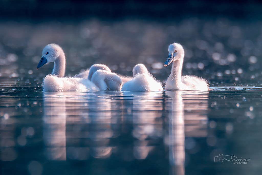 preschool by Anke Kneifel on 500px.com