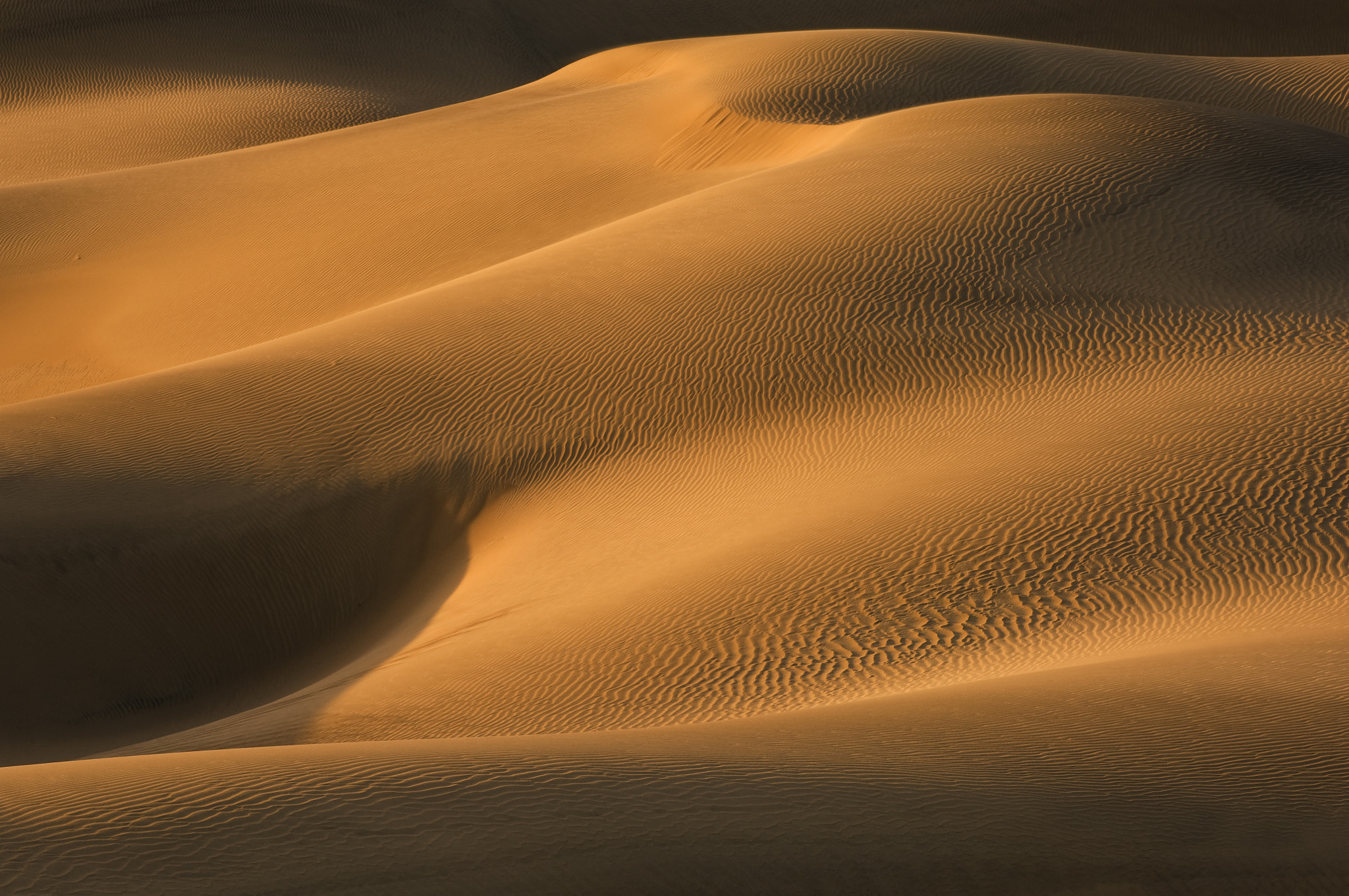 Nikon D2X + Nikon AF-Nikkor 80-200mm F2.8D ED sample photo. Mesquite flat sand dunes photography