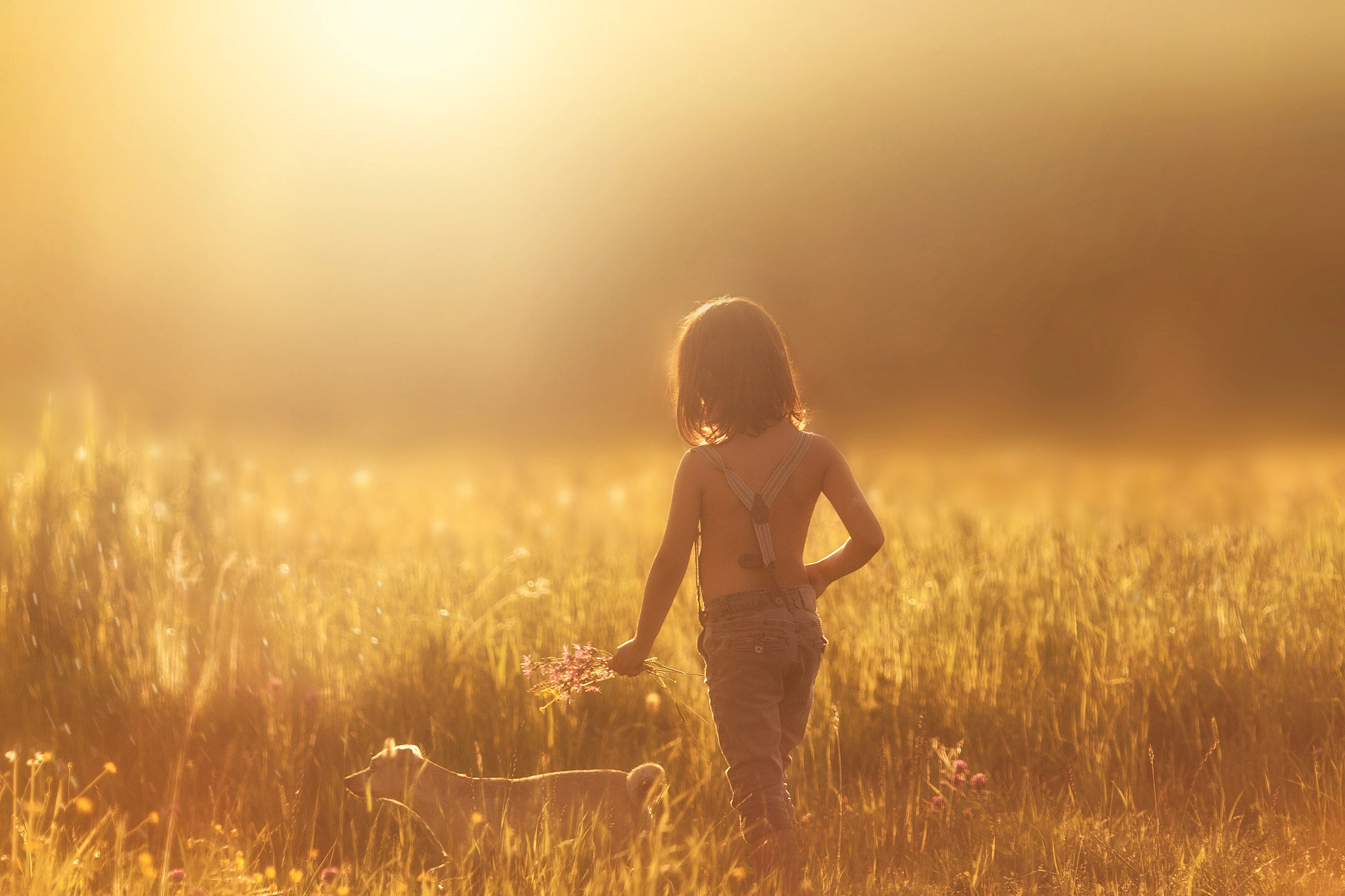 Canon EOS 60D + Canon EF 135mm F2L USM sample photo. Lazy walk in summer sun photography