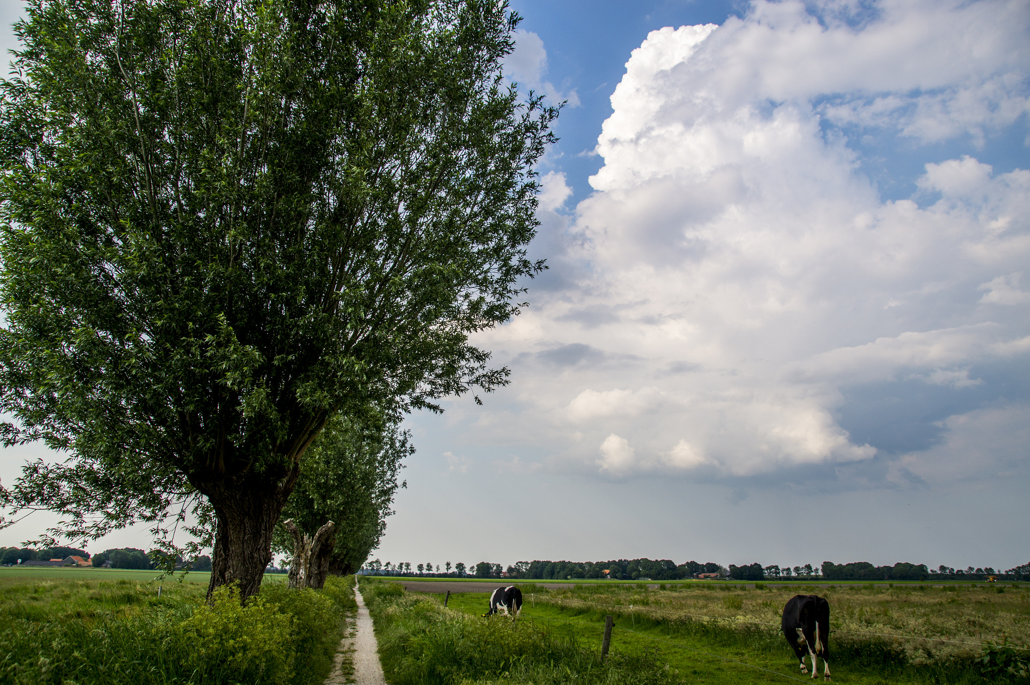 Sony SLT-A58 + Tamron AF 28-105mm F4-5.6 [IF] sample photo. Typical holland photography