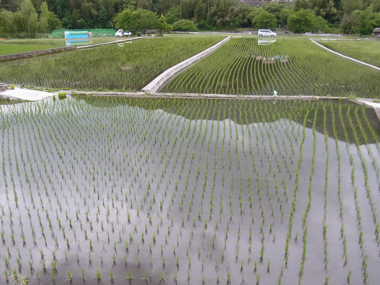 Ricoh CX5 sample photo. 水面鏡に映る梅雨空 photography