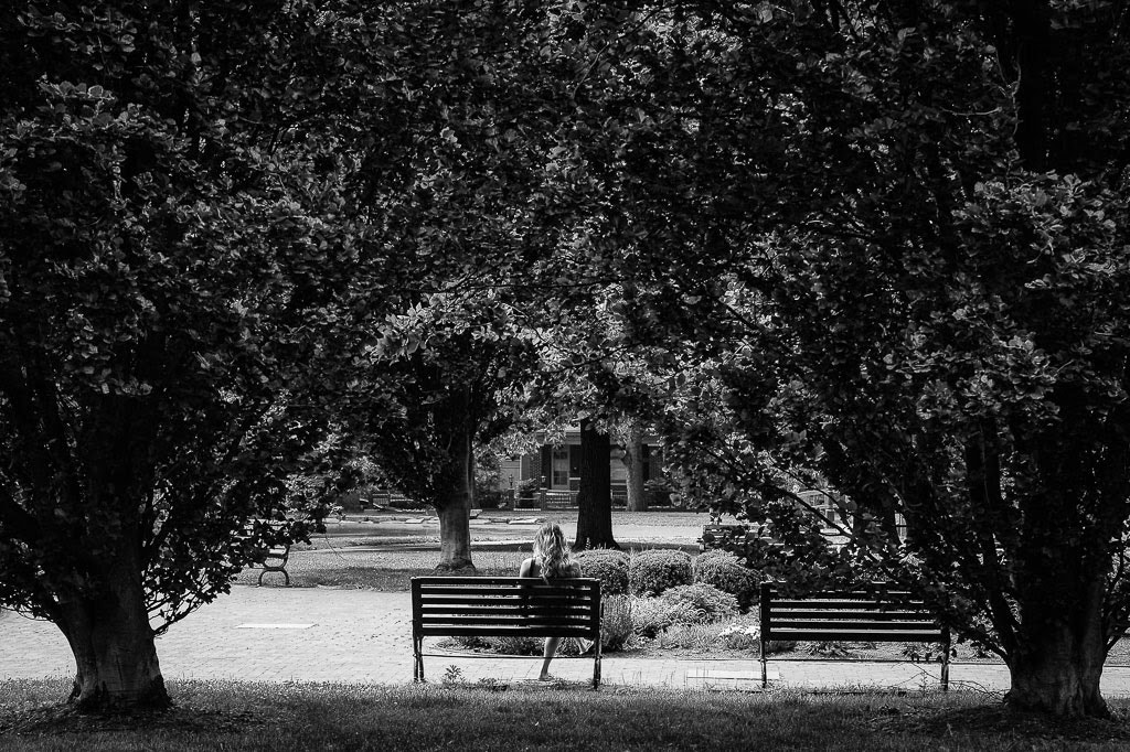 AF Zoom-Nikkor 35-135mm f/3.5-4.5 N sample photo. Framed in the trees photography