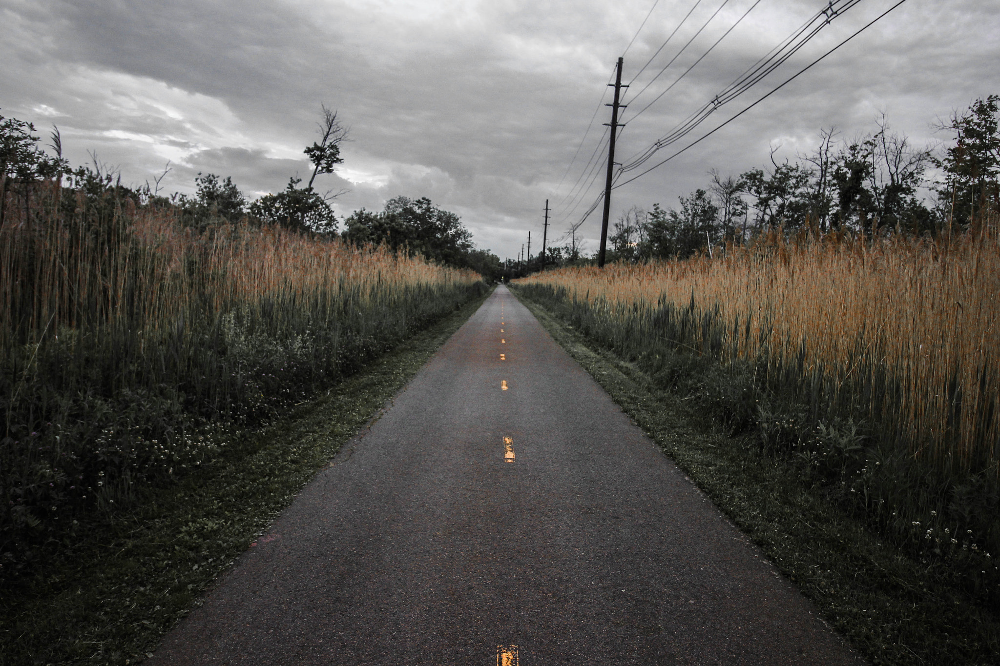 Canon EF-S 10-18mm F4.5–5.6 IS STM sample photo. Nature walks photography